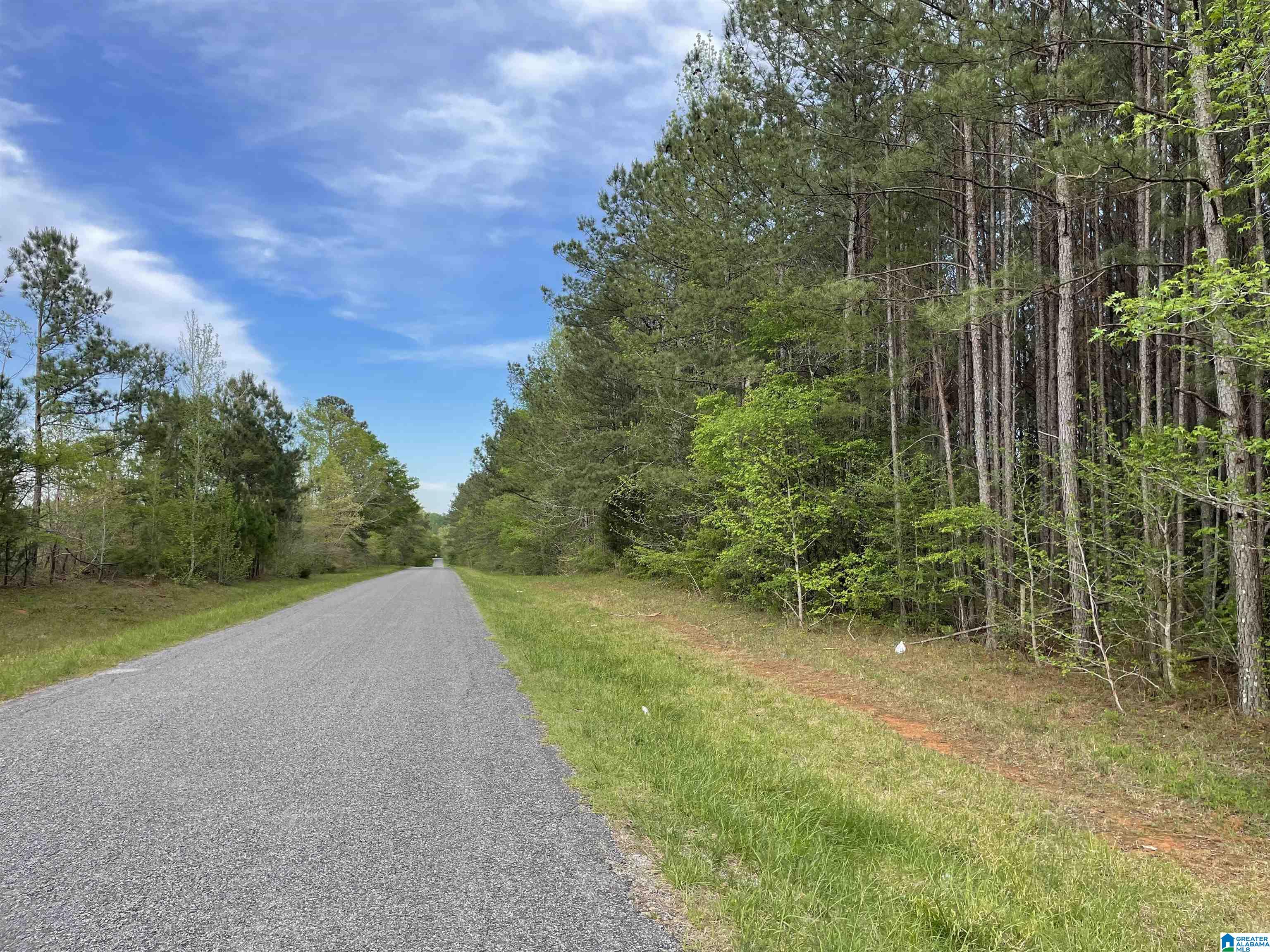 0 Bud Cummings Road, Unit 42 Roanoke, AL 36274 - Photo 5 of 5