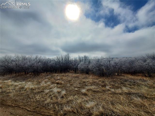 Thacker Road Rye, CO 81069 - Photo 2 of 6 Gallery Image 2