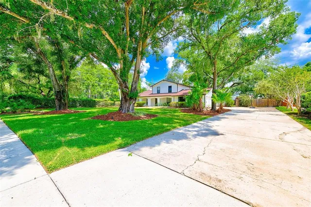 a view of a park with large trees