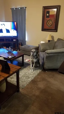 $1,450 | 501 Farm To Market 315, Unit 1 & 5, Chandler, TX 75758