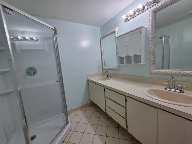 a bathroom with a double vanity sink a mirror and a shower