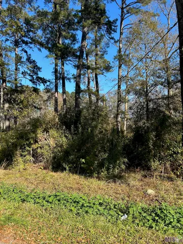 $65,000 | Lot 15 Magnolia Drive, Walker, LA 70785
