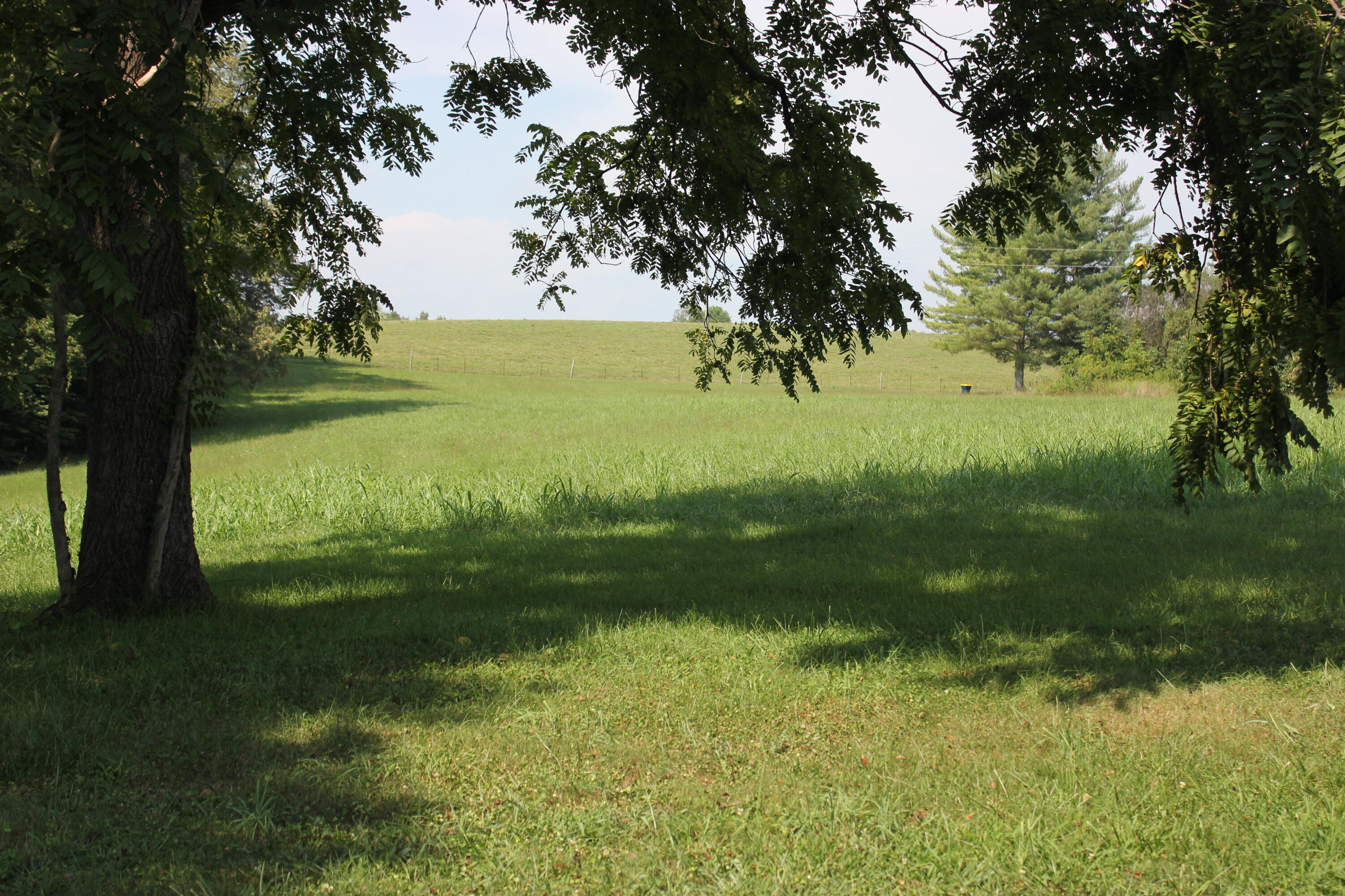 465 L L McKinney Road Brodhead, KY 40409 - Photo 11 of 31 IMG_0590