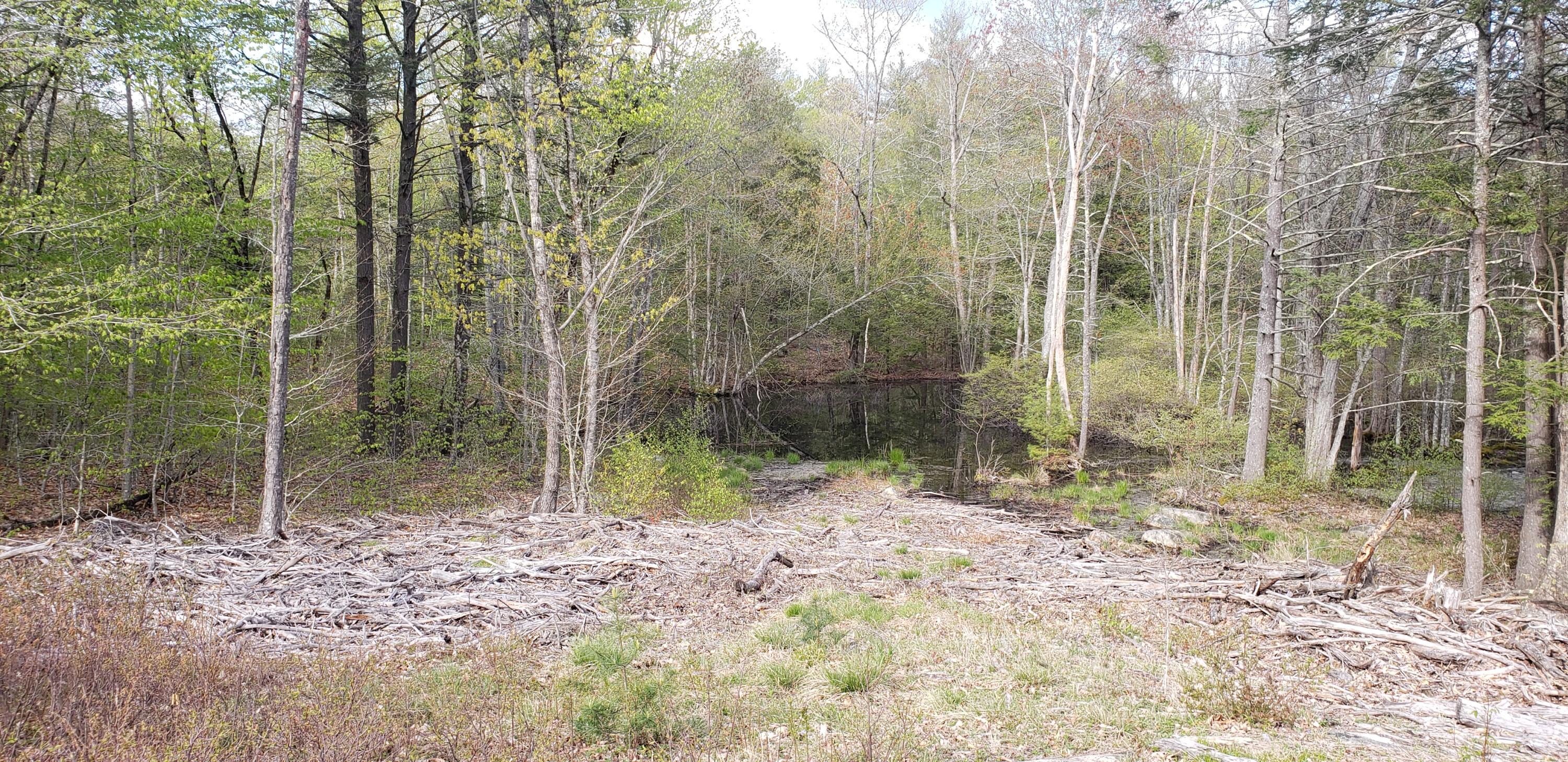 75-1a Mountain Road South Berwick, ME 03908 - Photo 2 of 11 75-1b