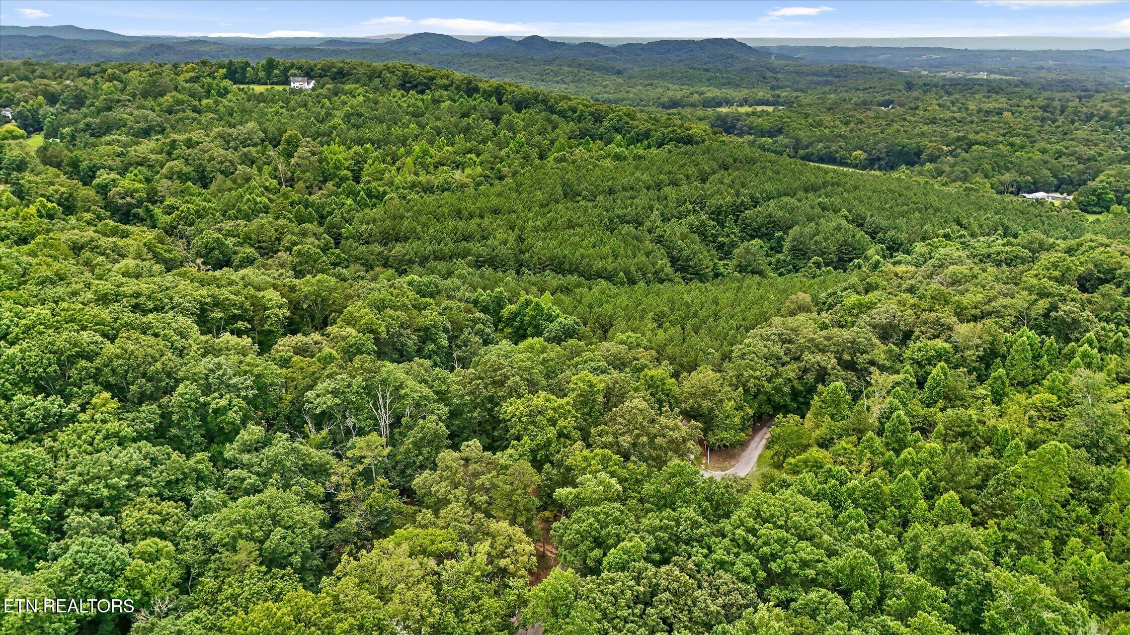 1331 Eads Bluff Road Northwest Georgetown, TN 37336 - Photo 56 of 60 08-Eads Bluff-56