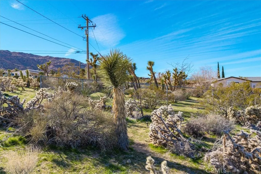 61017 Navajo Joshua Tree, CA 92252 - Photo 3 of 30 a view of a yard with wooden fence