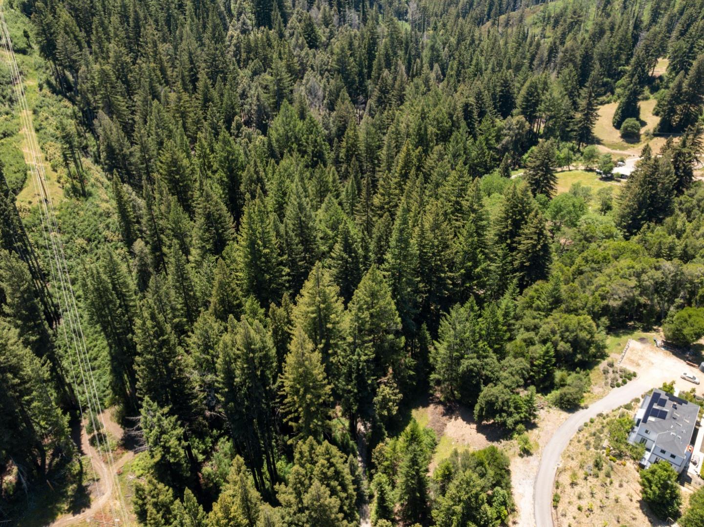 Lot 17 Branson Ranch Boulder Creek, CA 95006 - Photo 42 of 45 a view of a forest with a tree