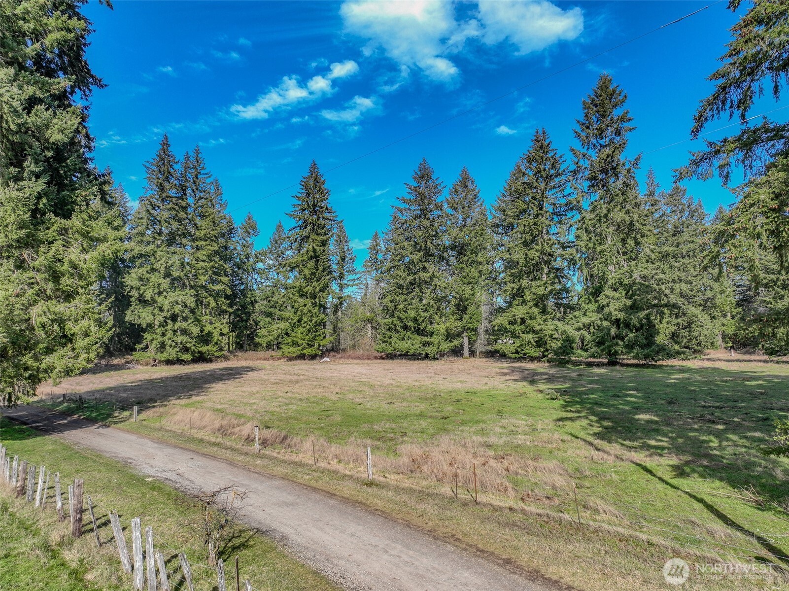 7713 Johnson Road Southeast Olympia, WA 98513 - Photo 9 of 21 Gallery Image 9
