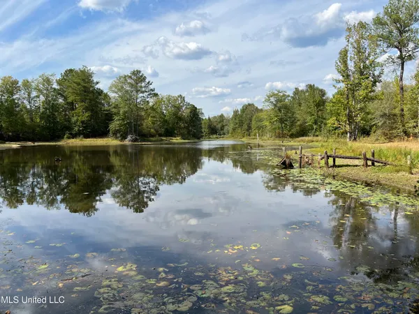 $667,000 | 135 Scr, Morton, MS 39117