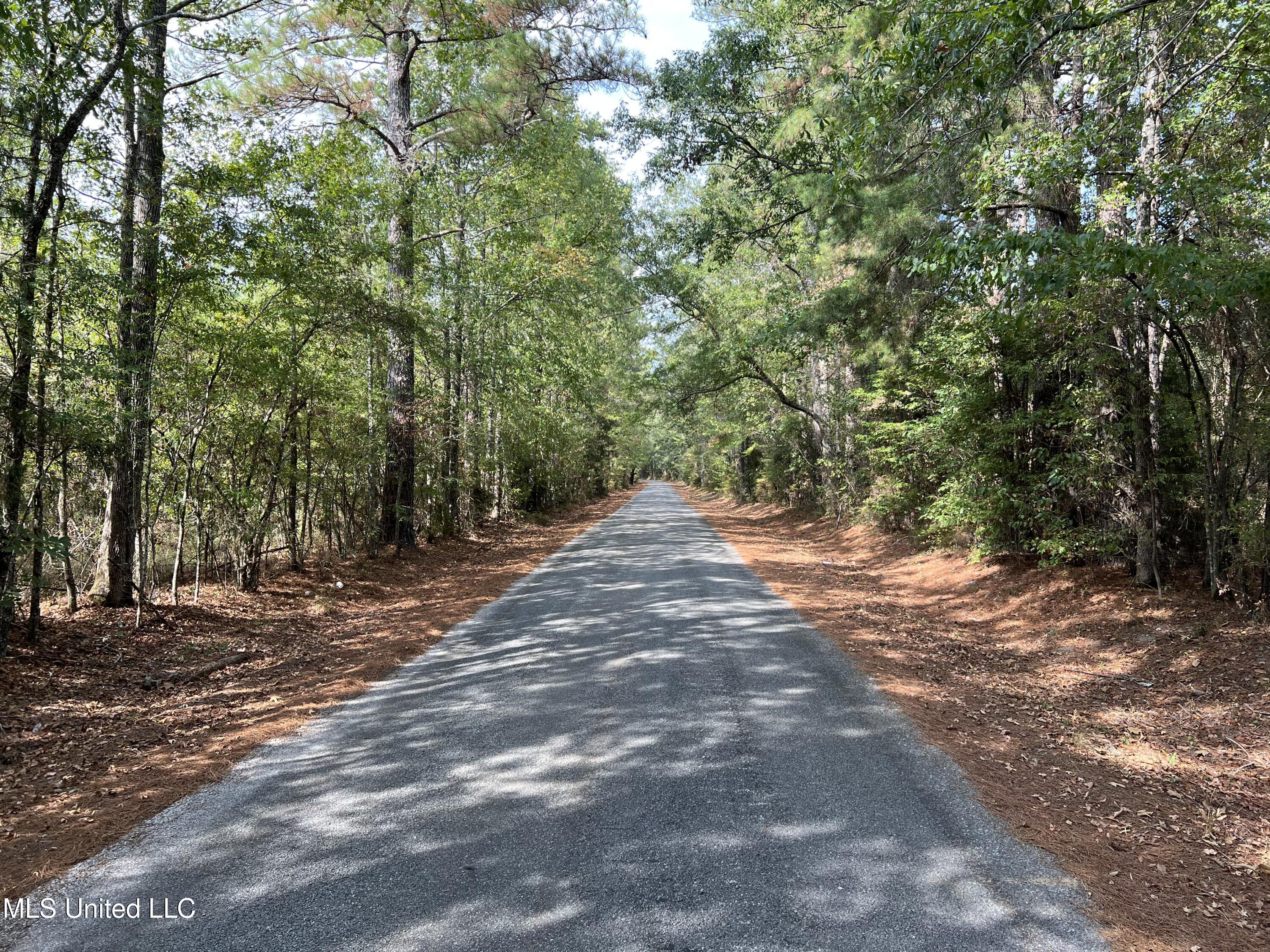 135 Scr Morton, MS 39117 - Photo 11 of 28 IMG_0001