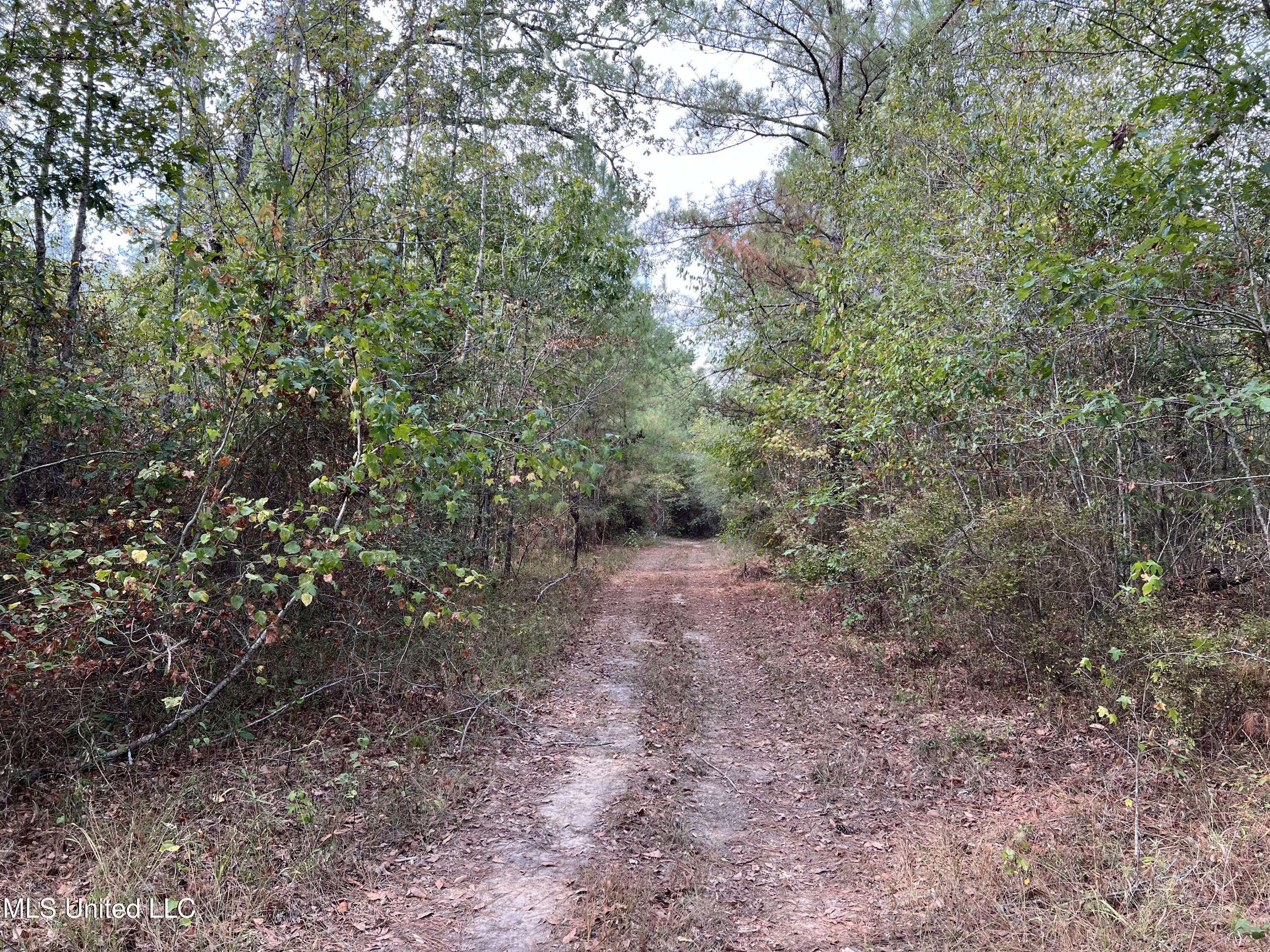 135 Scr Morton, MS 39117 - Photo 14 of 28 IMG_0006