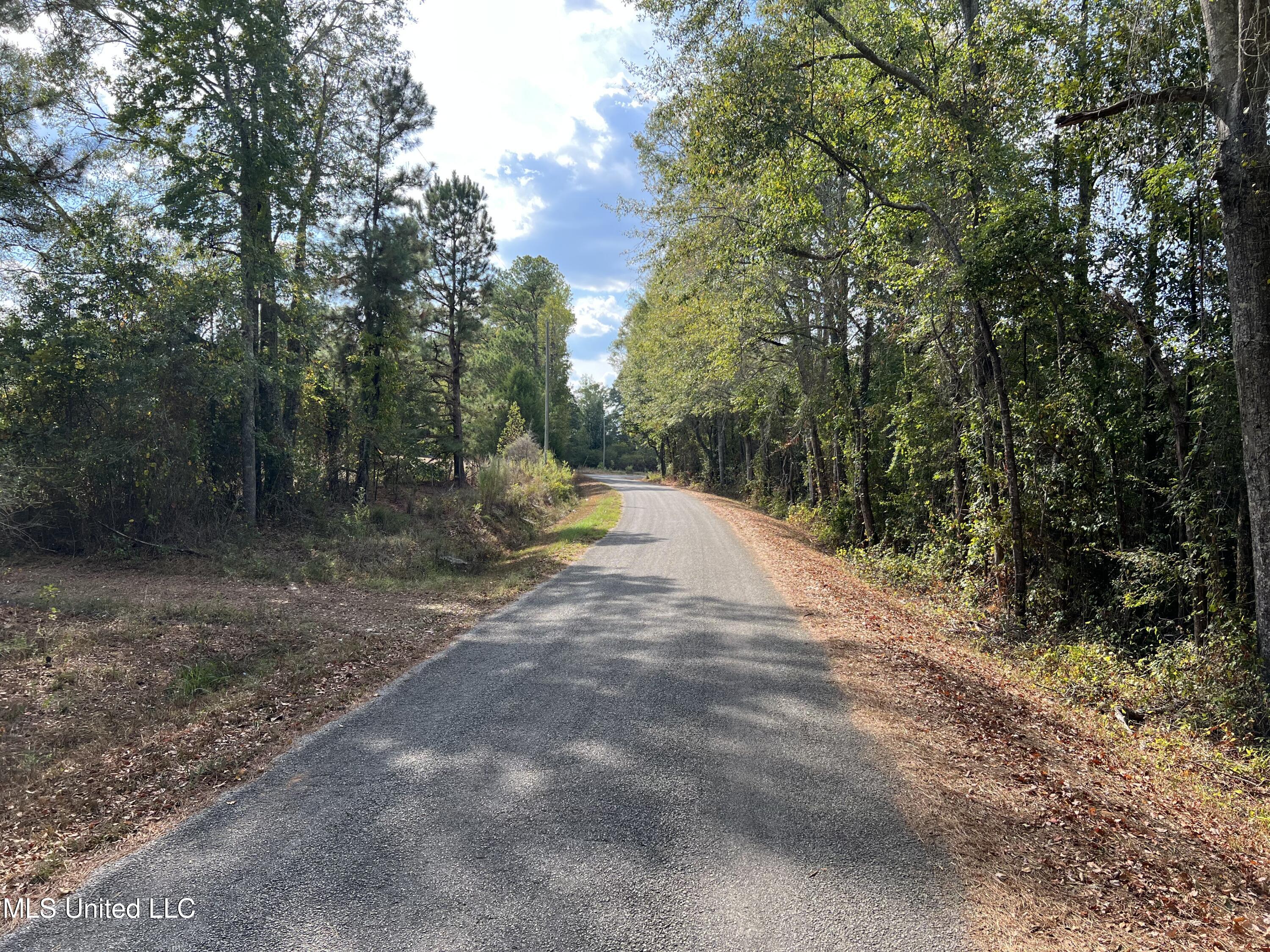 135 Scr Morton, MS 39117 - Photo 15 of 28 IMG_0007