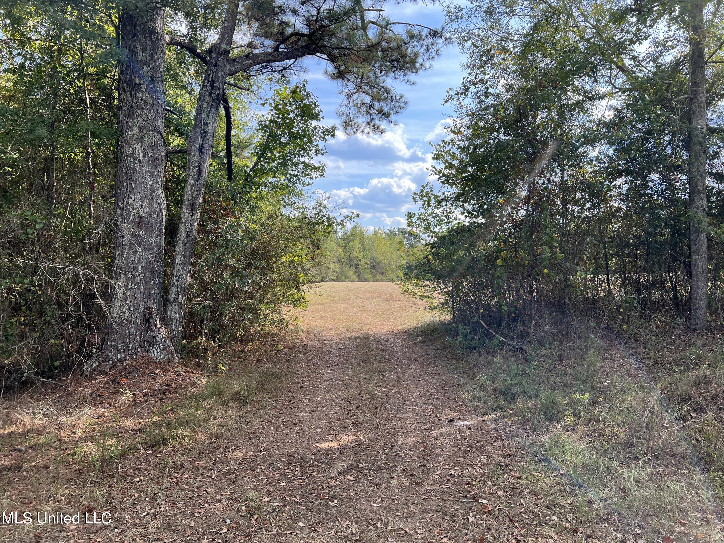 135 Scr Morton, MS 39117 - Photo 16 of 28 IMG_0008