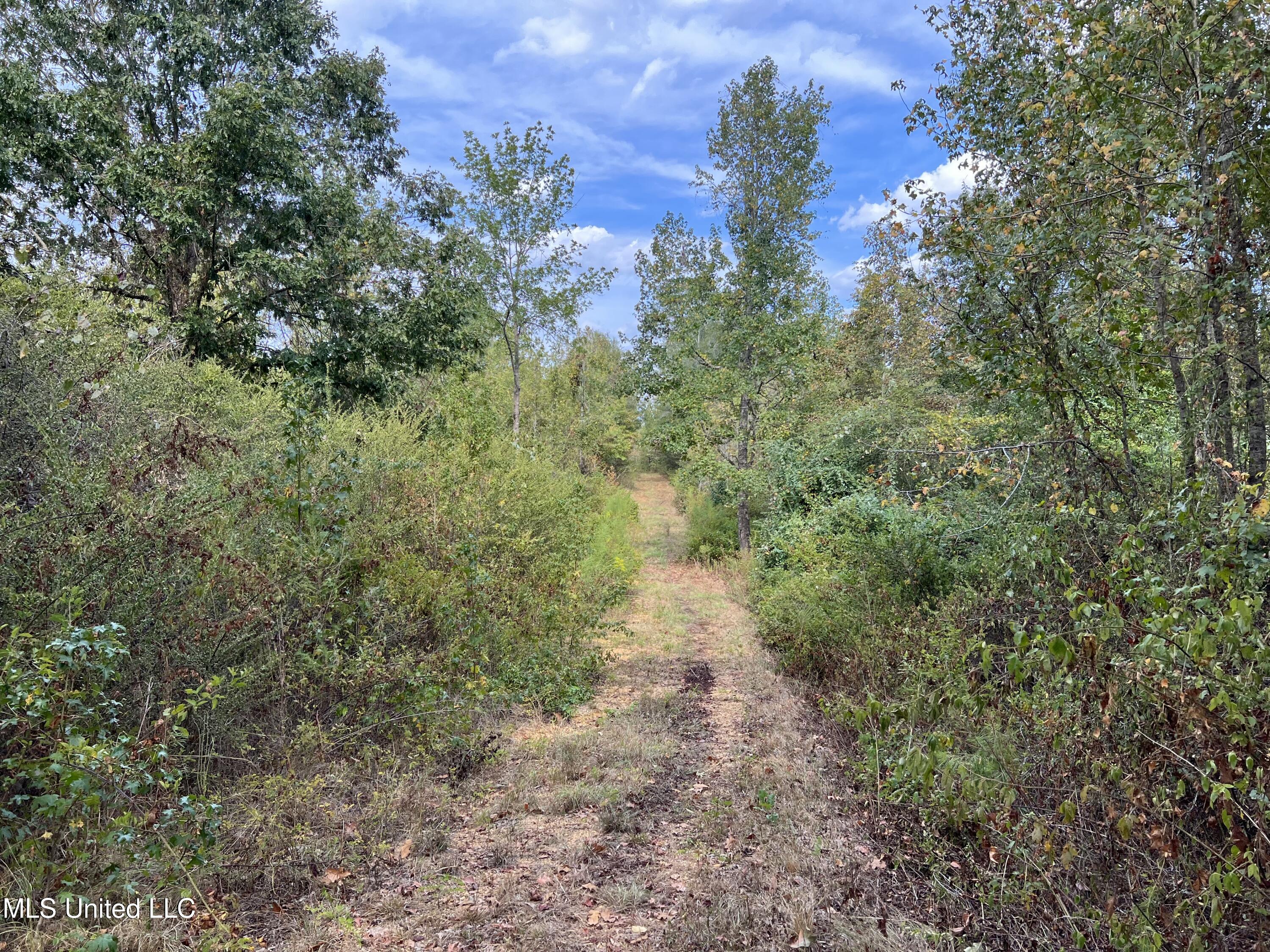 135 Scr Morton, MS 39117 - Photo 18 of 28 IMG_0011