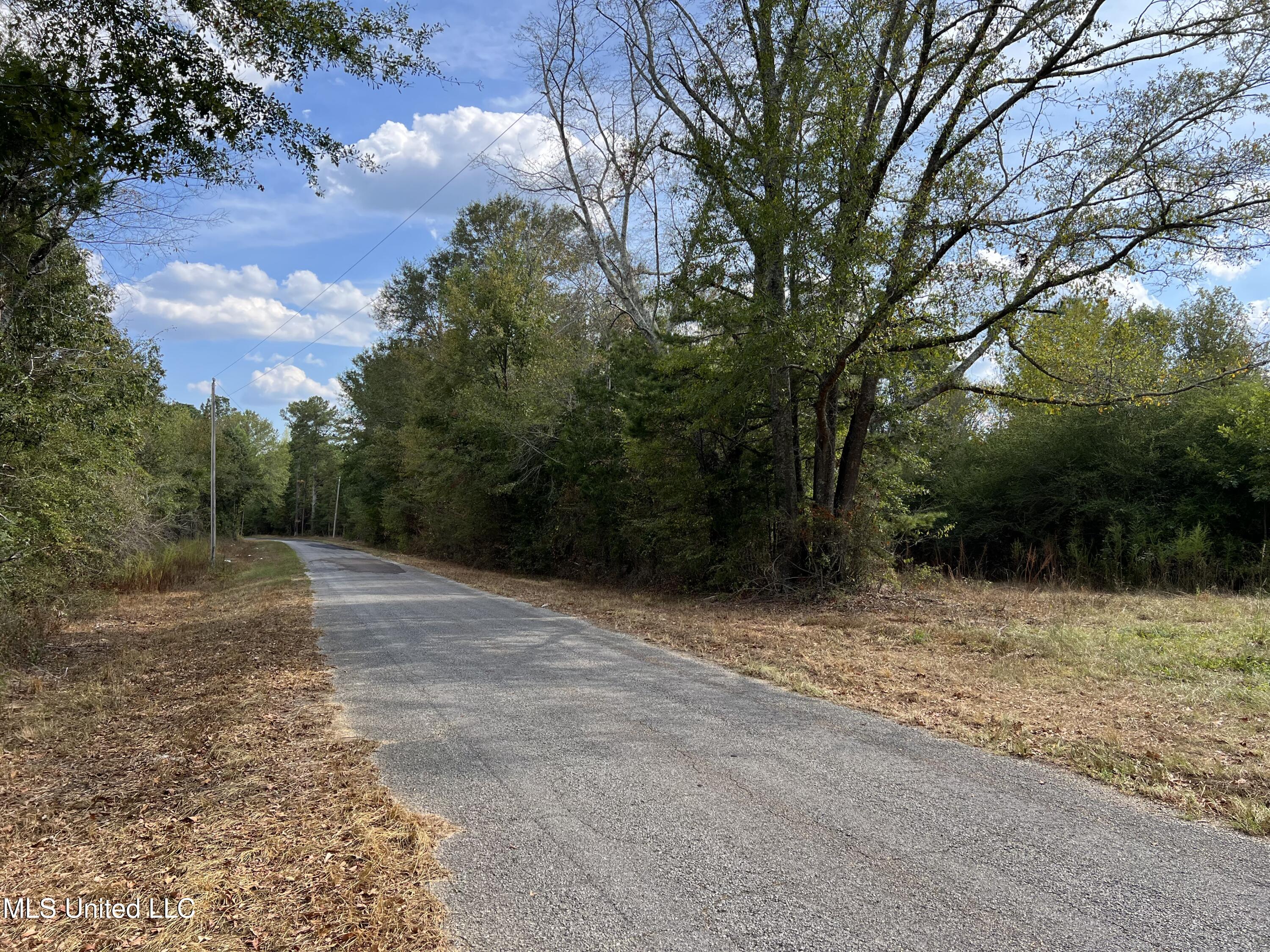 135 Scr Morton, MS 39117 - Photo 19 of 28 IMG_0015