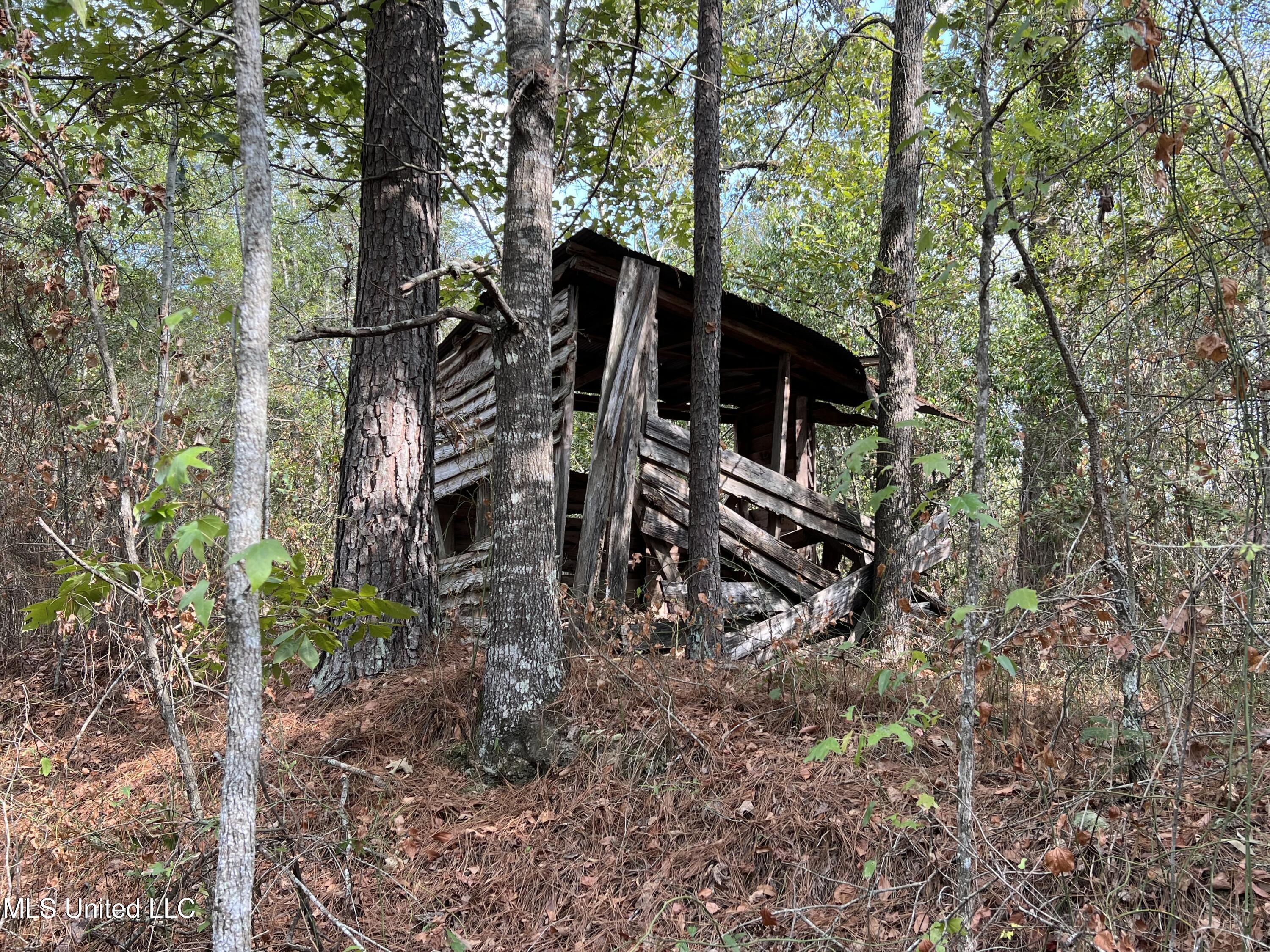135 Scr Morton, MS 39117 - Photo 20 of 28 IMG_0020