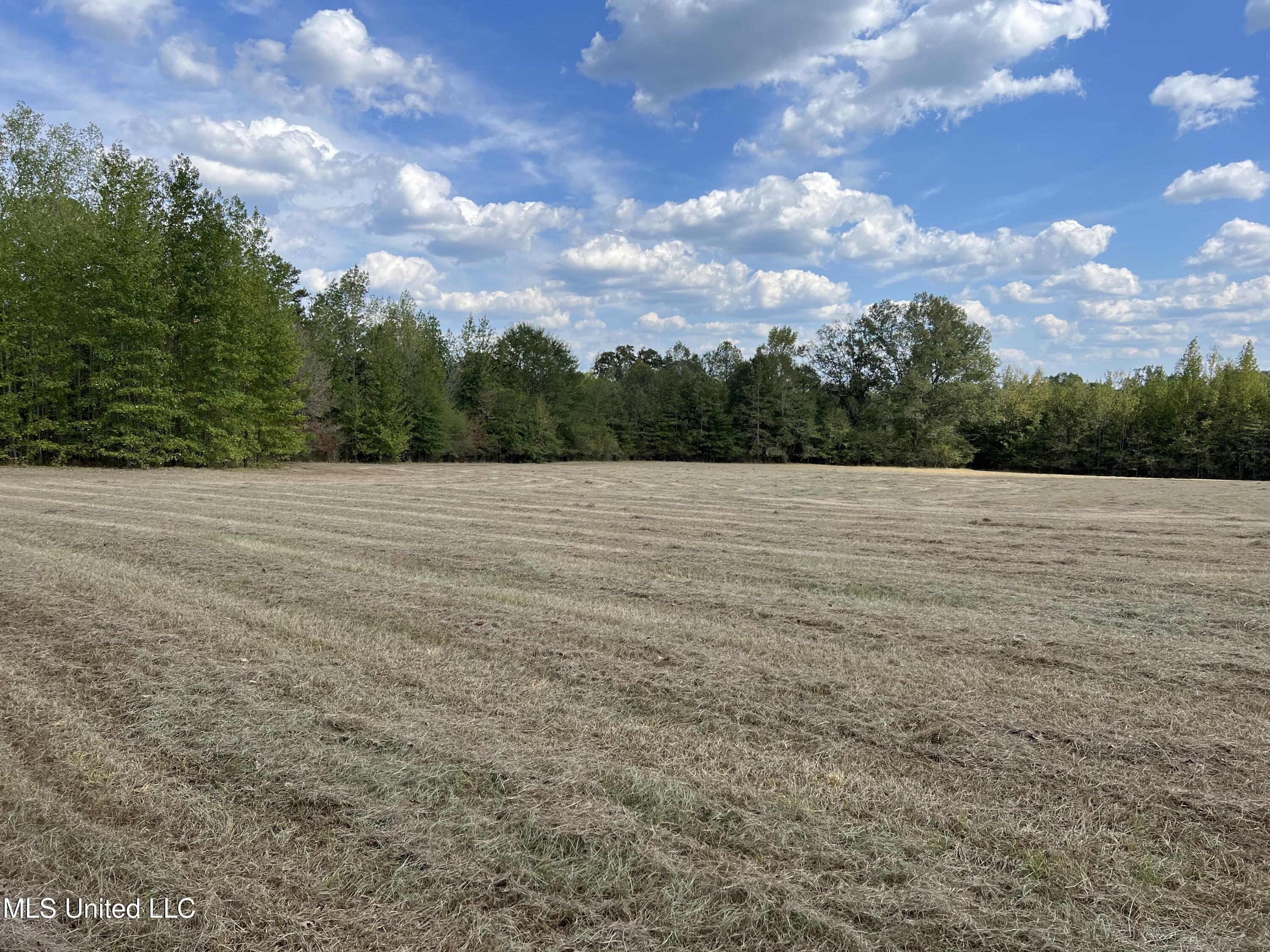 135 Scr Morton, MS 39117 - Photo 2 of 28 IMG_9981