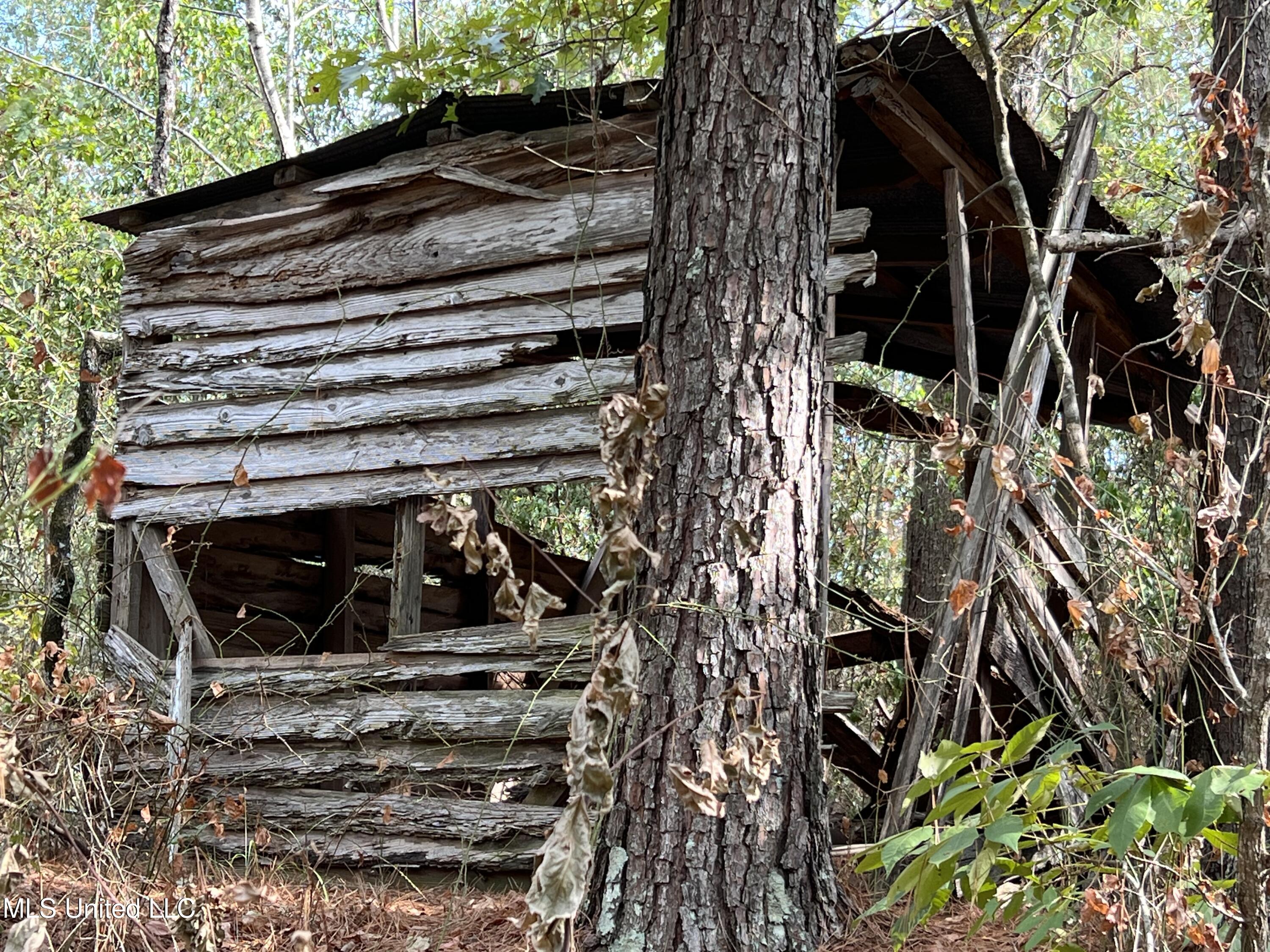135 Scr Morton, MS 39117 - Photo 21 of 28 IMG_0018
