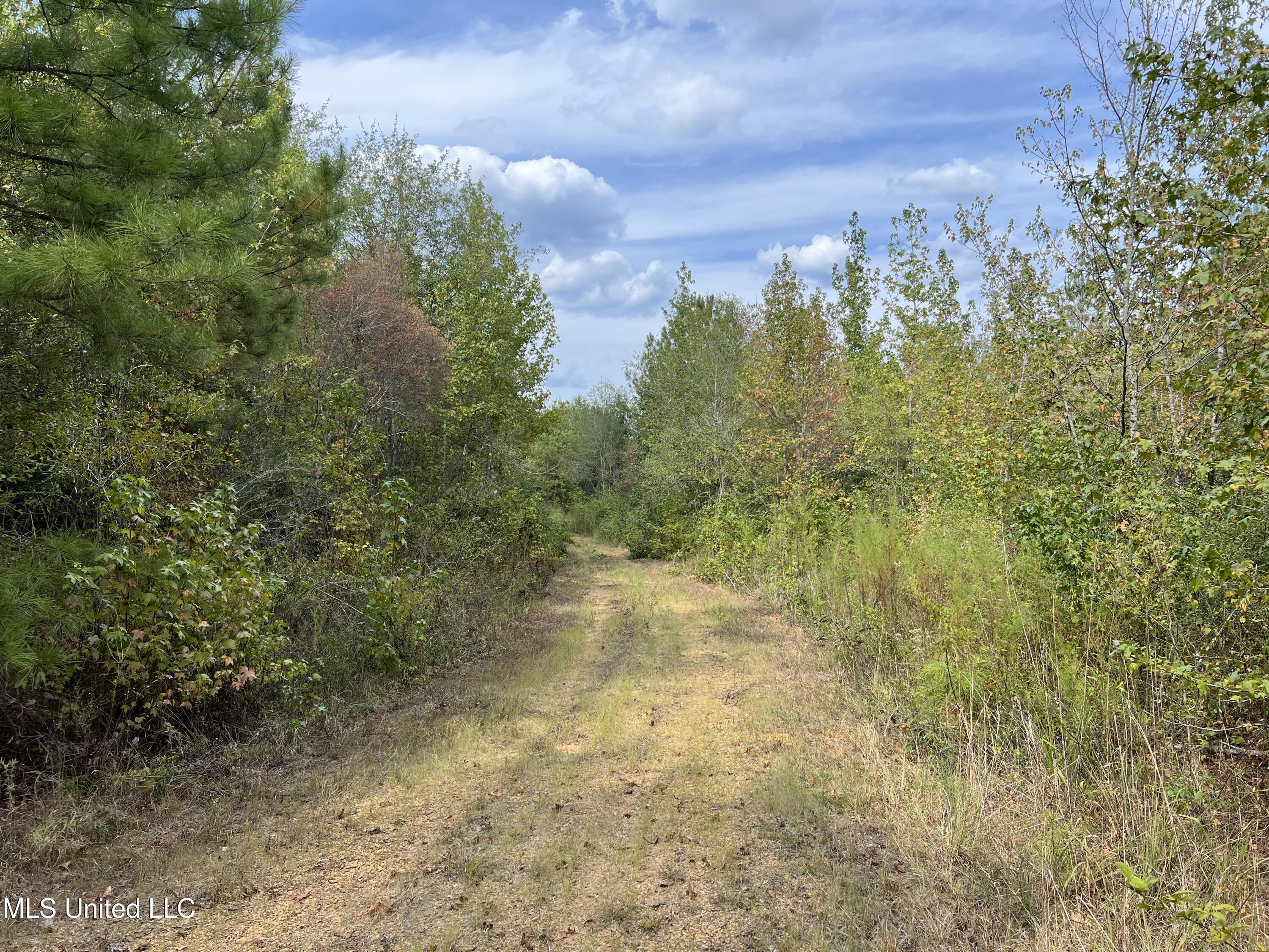 135 Scr Morton, MS 39117 - Photo 22 of 28 IMG_0021
