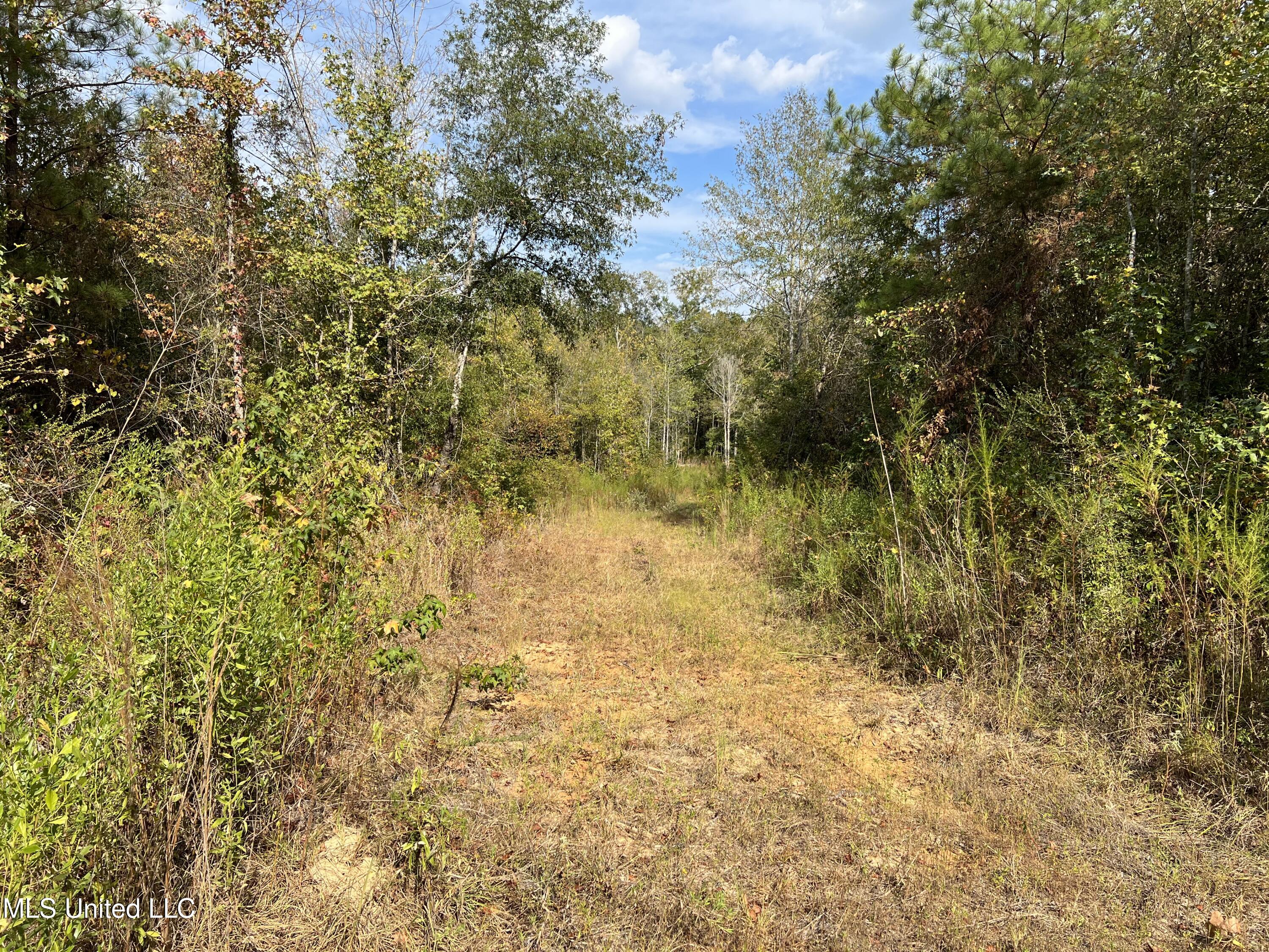 135 Scr Morton, MS 39117 - Photo 23 of 28 IMG_0024
