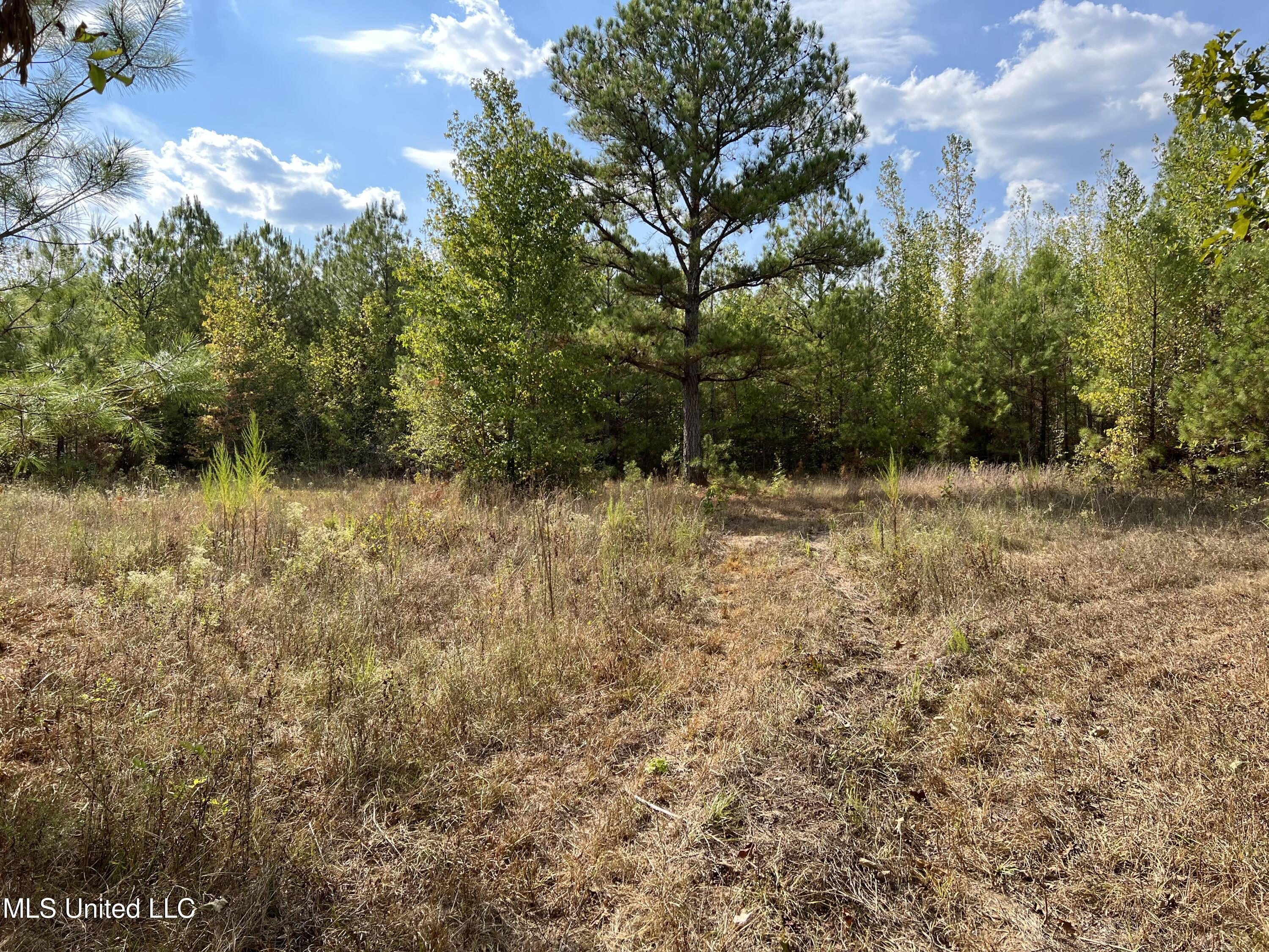 135 Scr Morton, MS 39117 - Photo 25 of 28 IMG_0029