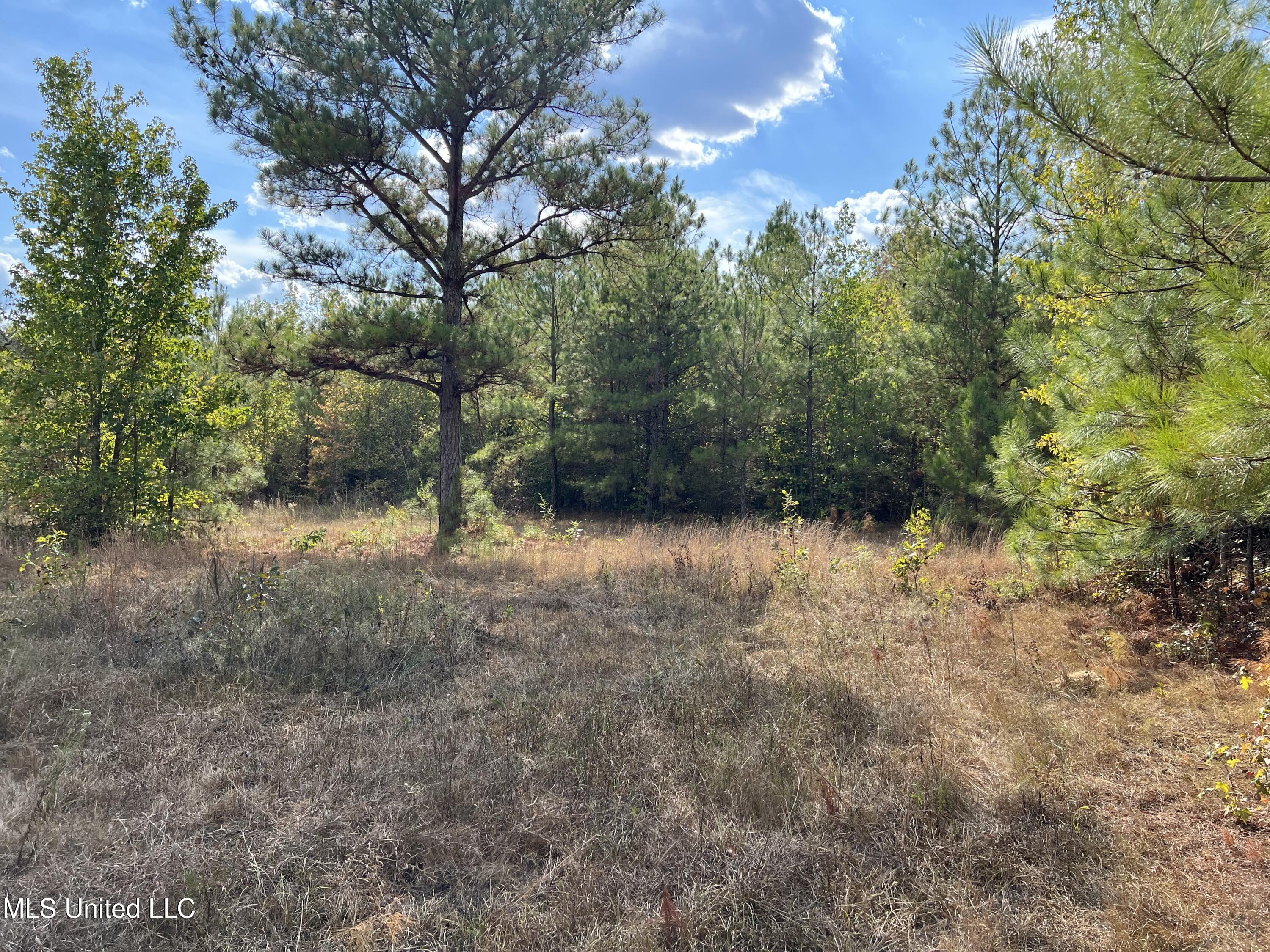 135 Scr Morton, MS 39117 - Photo 26 of 28 IMG_0032