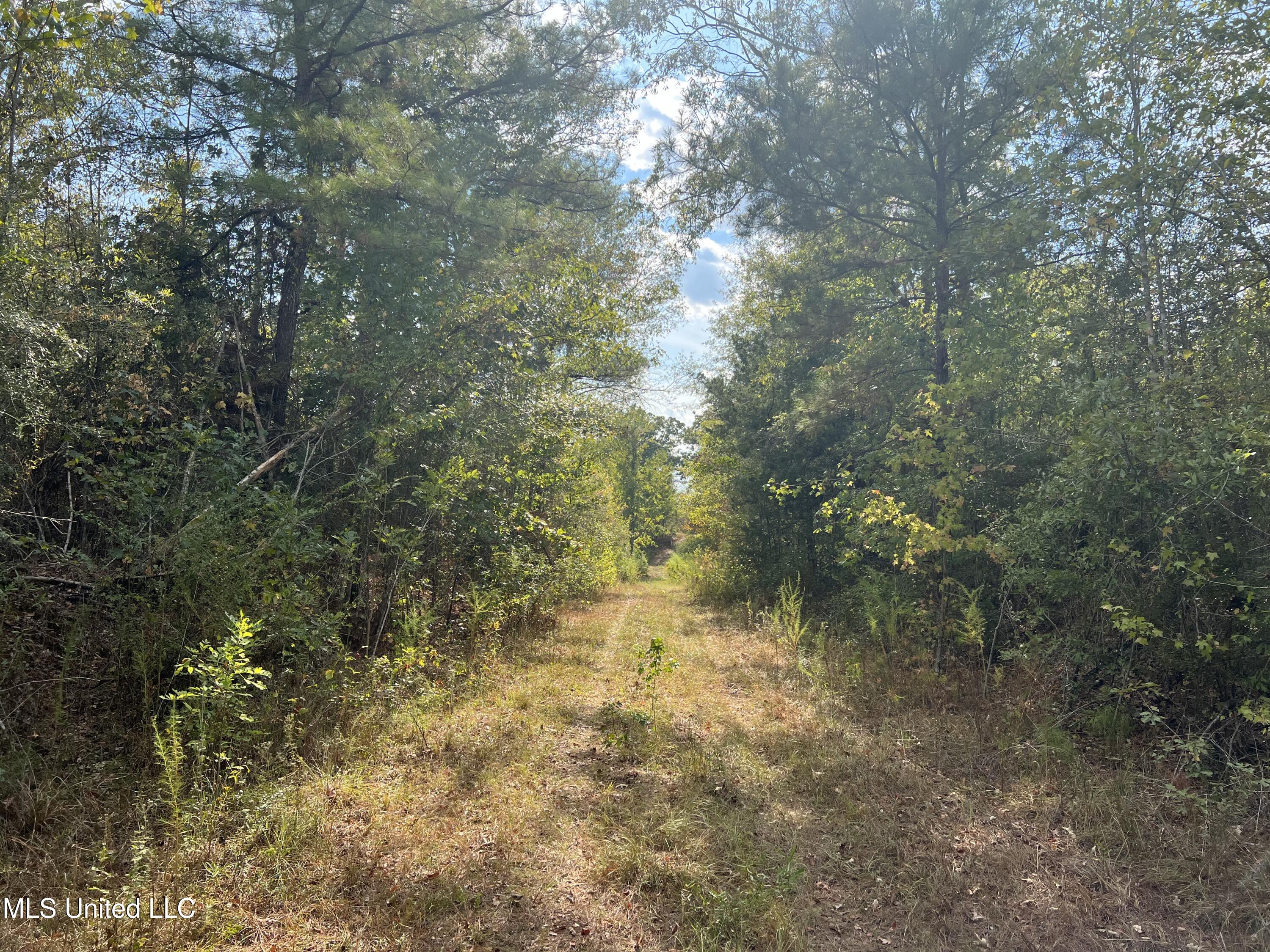 135 Scr Morton, MS 39117 - Photo 28 of 28 IMG_0035