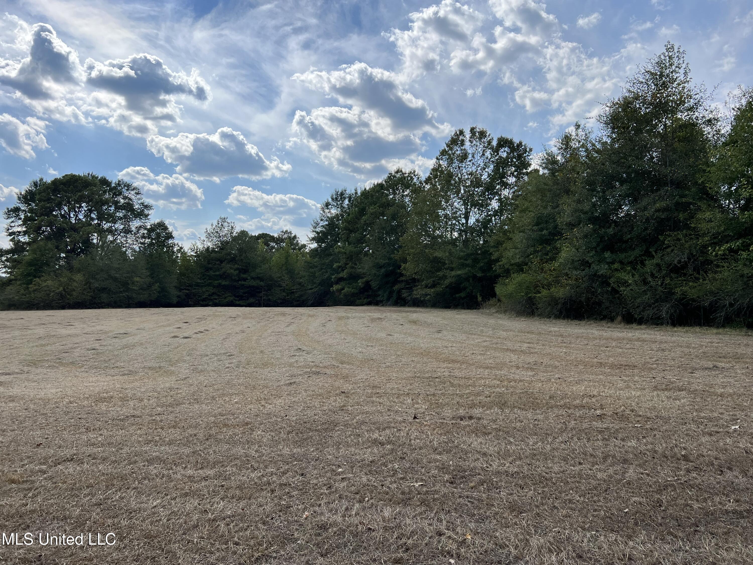 135 Scr Morton, MS 39117 - Photo 3 of 28 IMG_9986