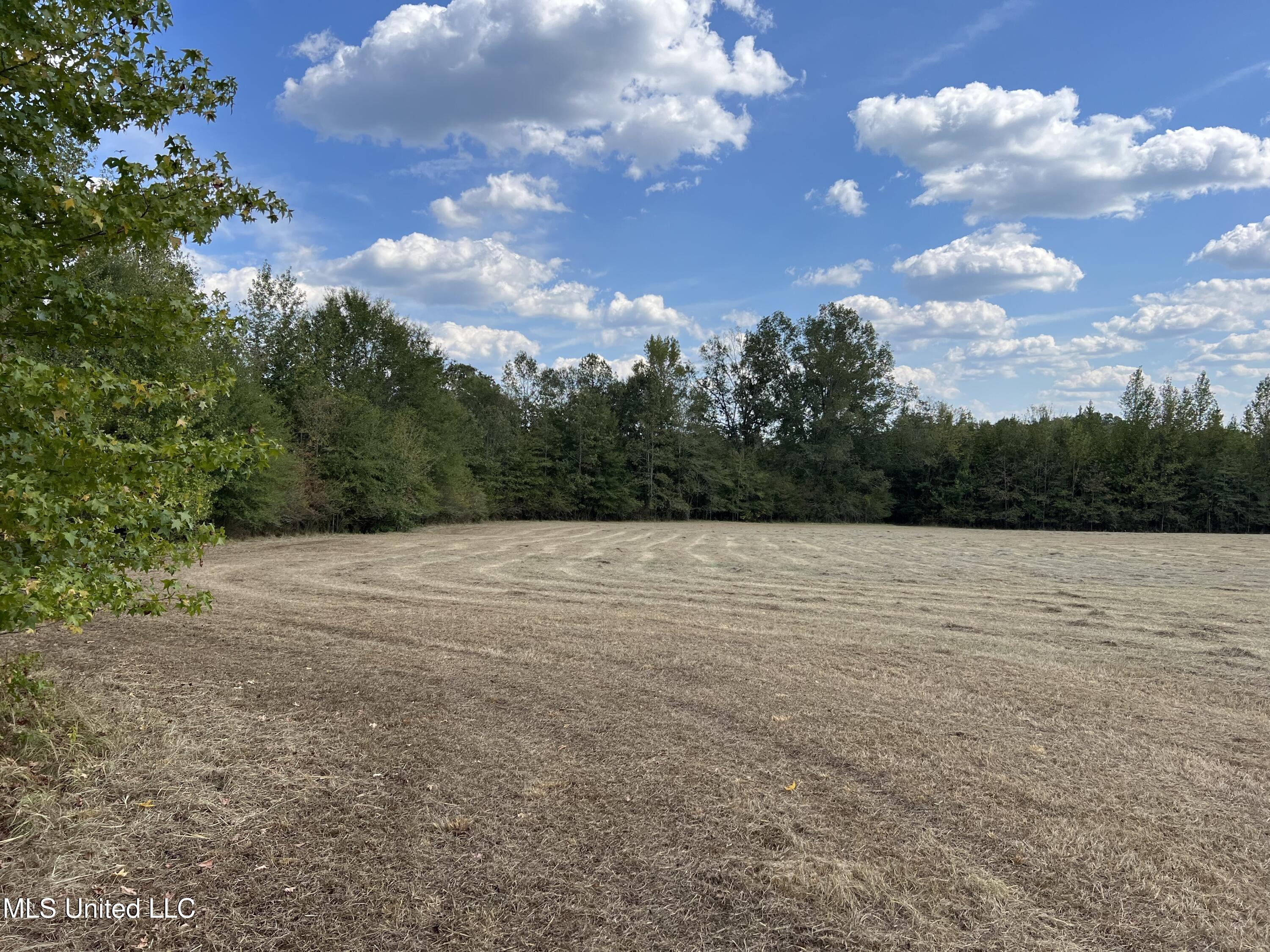 135 Scr Morton, MS 39117 - Photo 4 of 28 IMG_9989