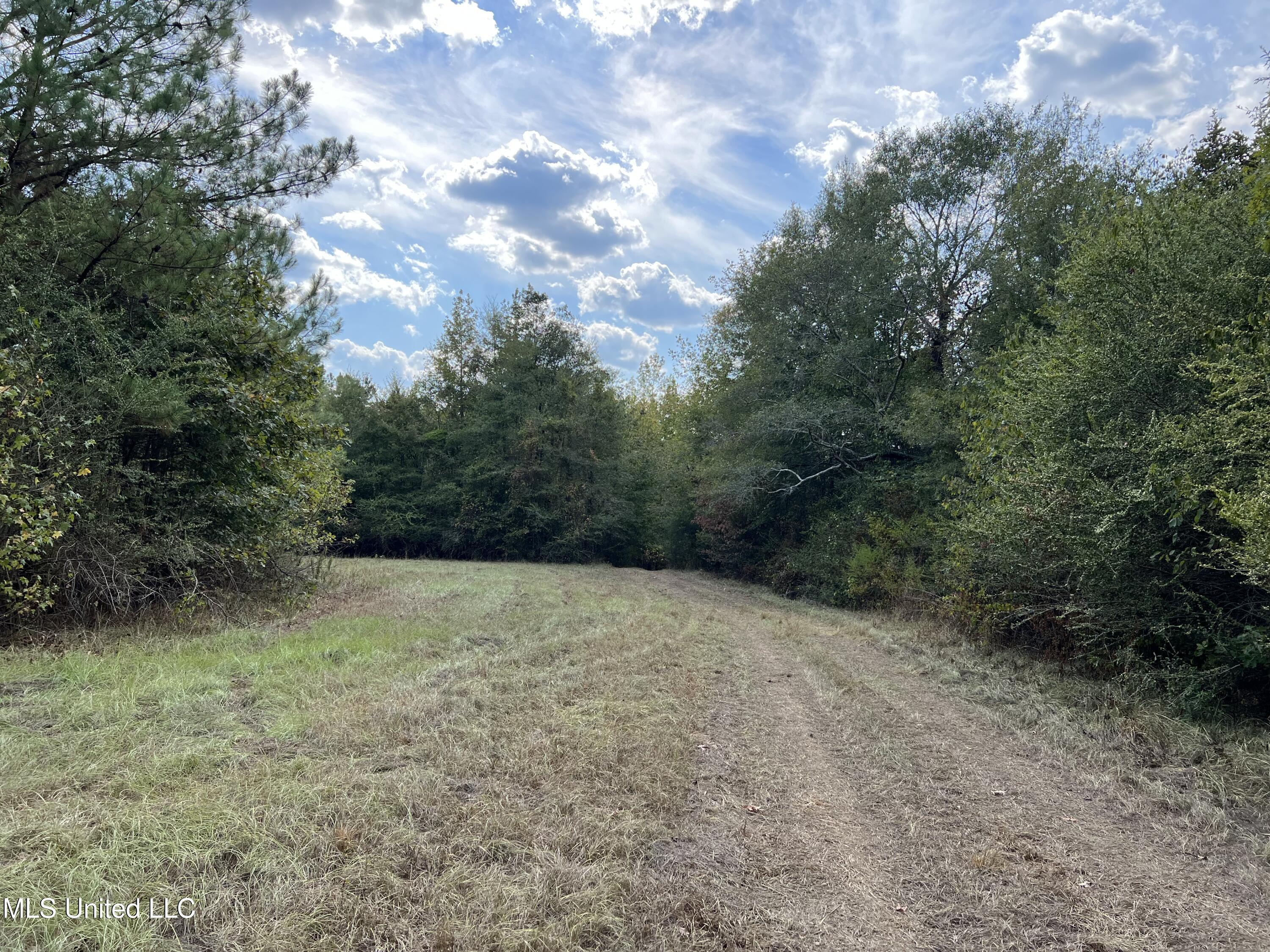 135 Scr Morton, MS 39117 - Photo 6 of 28 IMG_9991