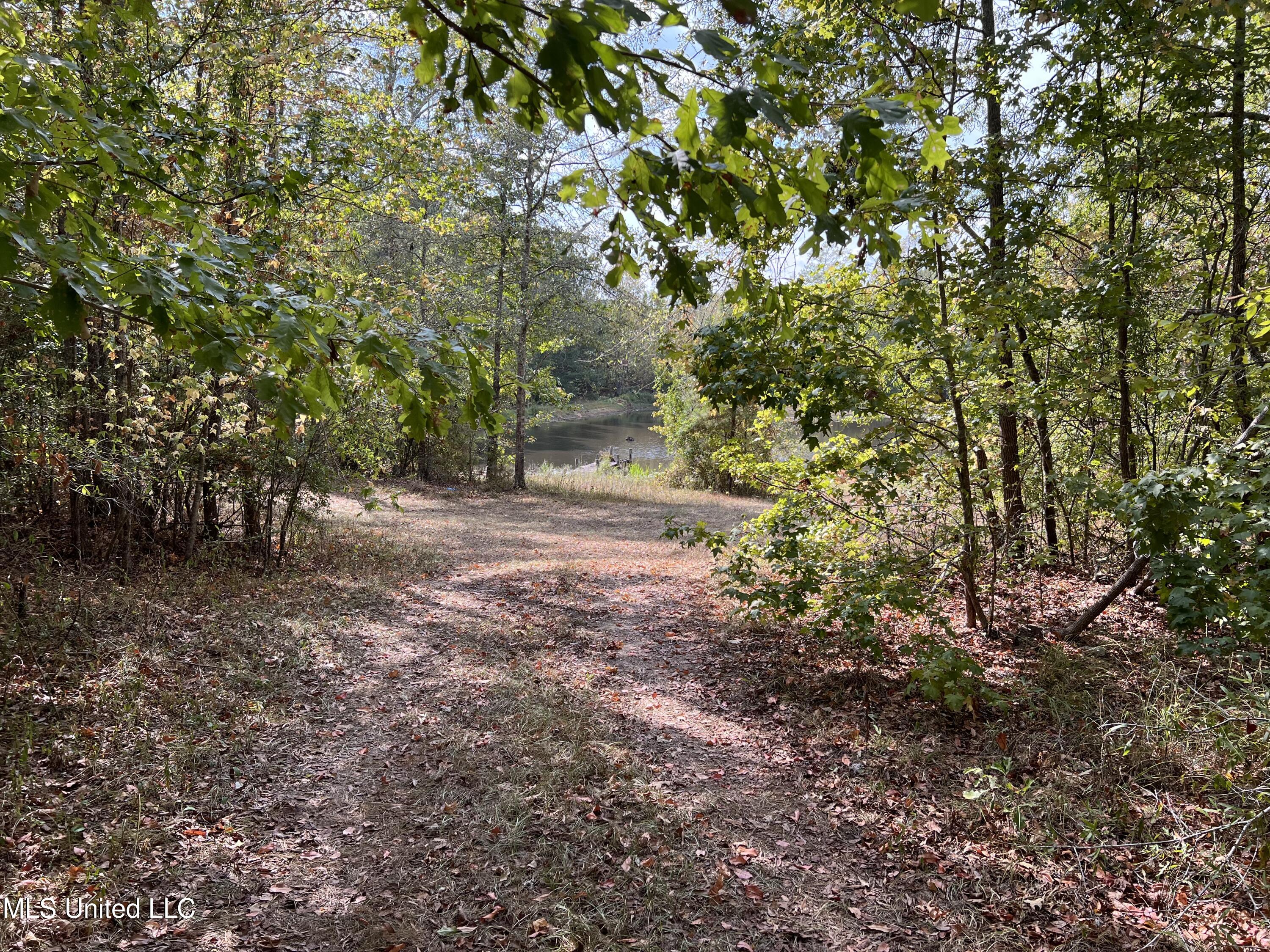 135 Scr Morton, MS 39117 - Photo 7 of 28 IMG_9992