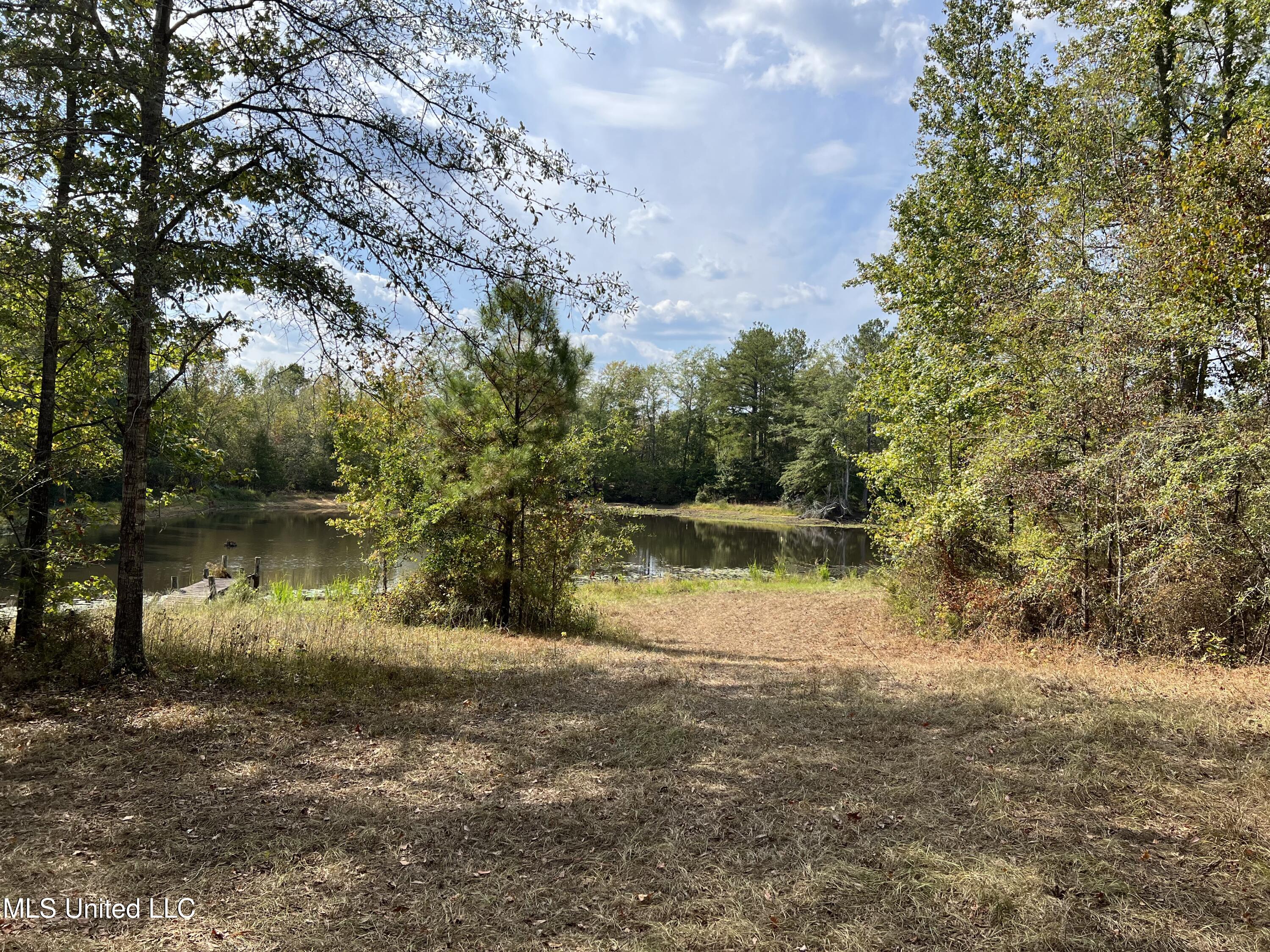 135 Scr Morton, MS 39117 - Photo 8 of 28 IMG_9994