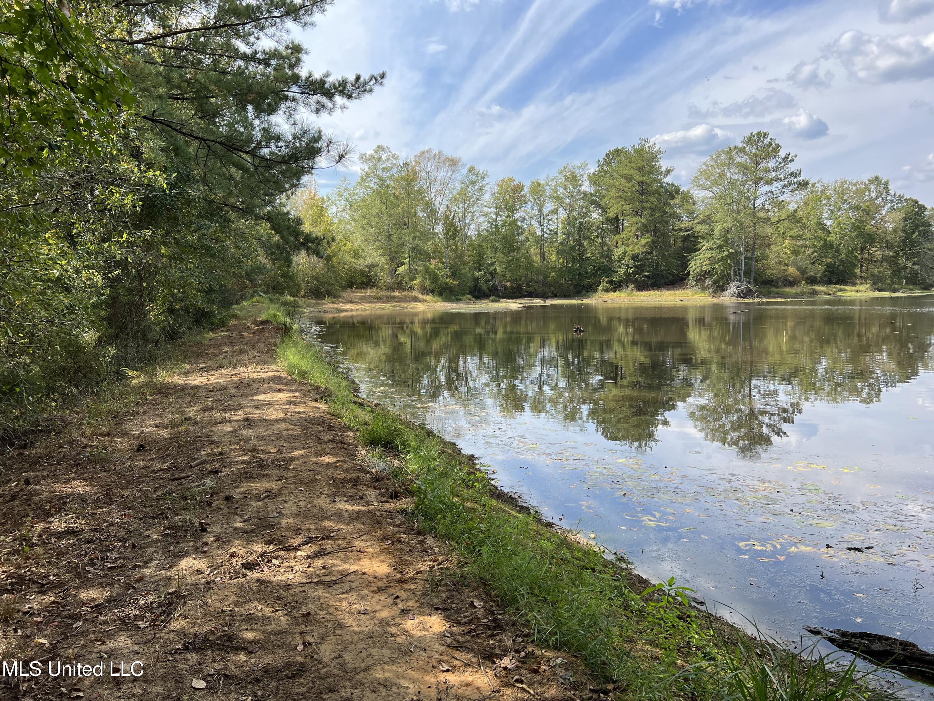 135 Scr Morton, MS 39117 - Photo 9 of 28 IMG_9995