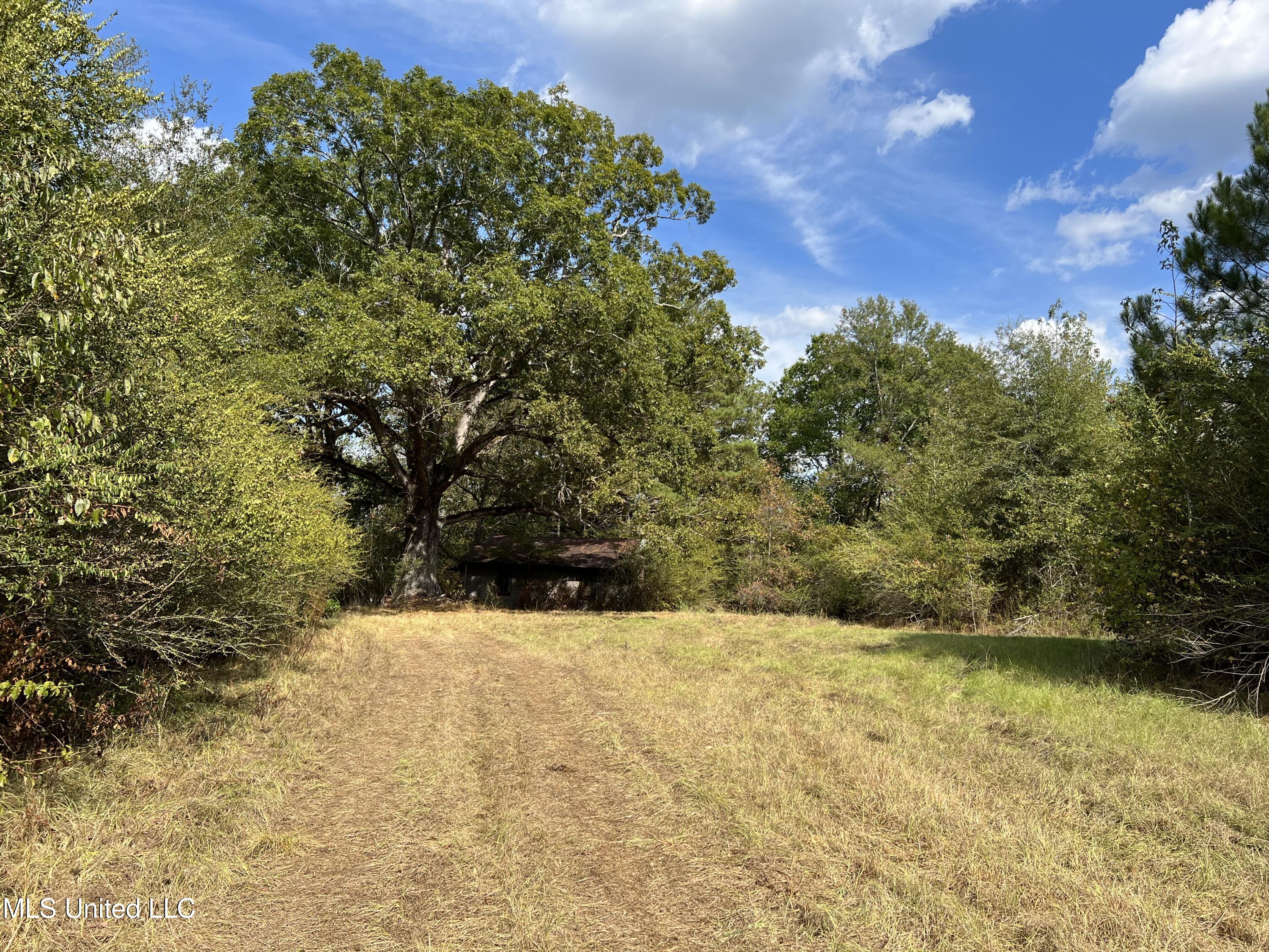 135 Scr Morton, MS 39117 - Photo 10 of 28 IMG_9999
