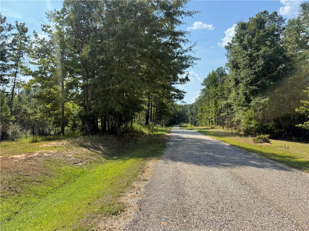 0 Bethel Road Seale, AL 36875 - Photo 10 of 14 Gravel road entry surrounded by mature trees and natural landscaping