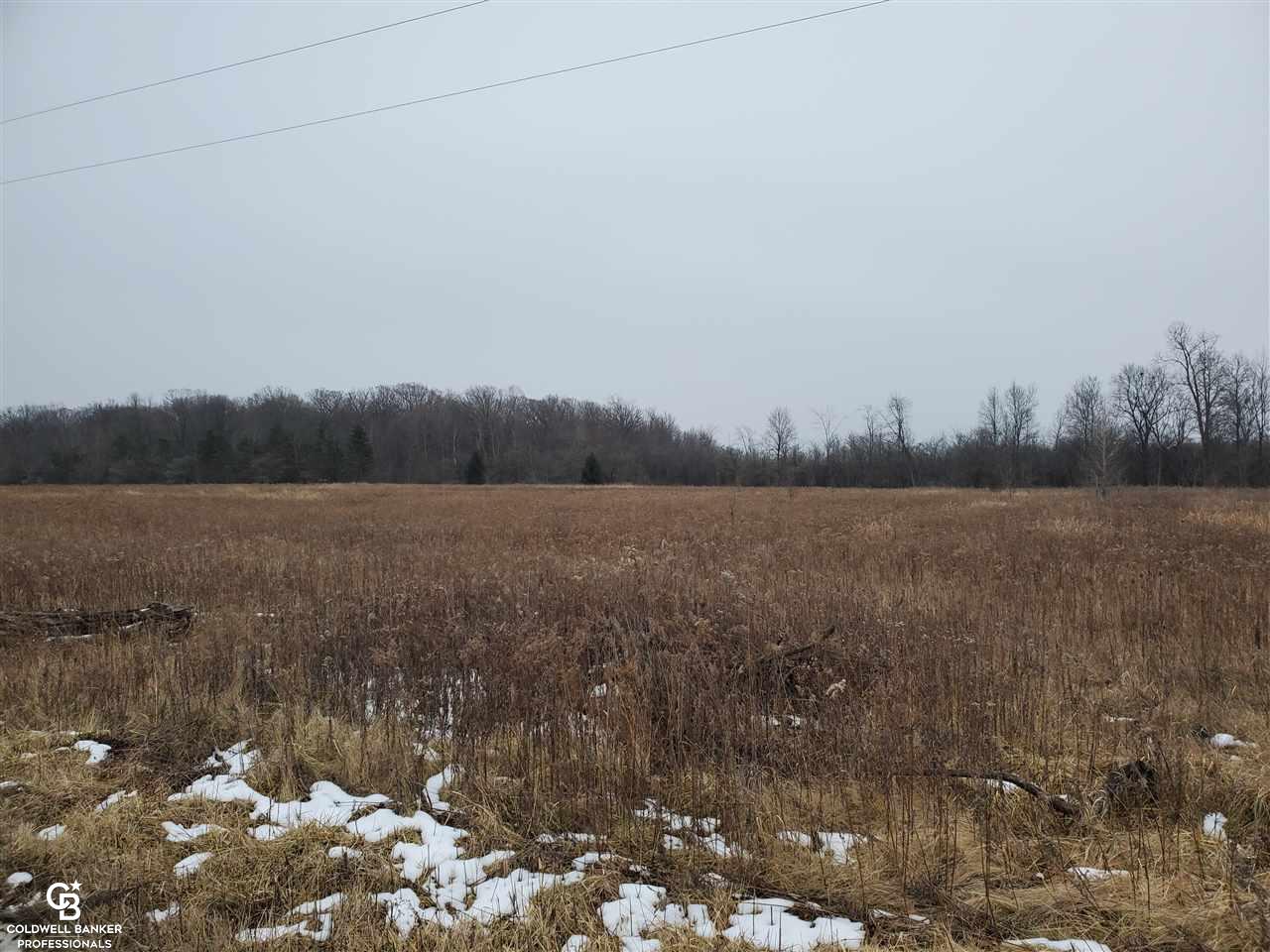 Rynn Rd Ville Avoca, MI 48006 - Photo 4 of 22