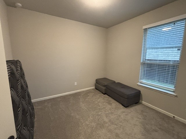 5039 Country Mdws Trail Iowa Colony, TX 77583 - Photo 12 of 19 3rd Bedroom