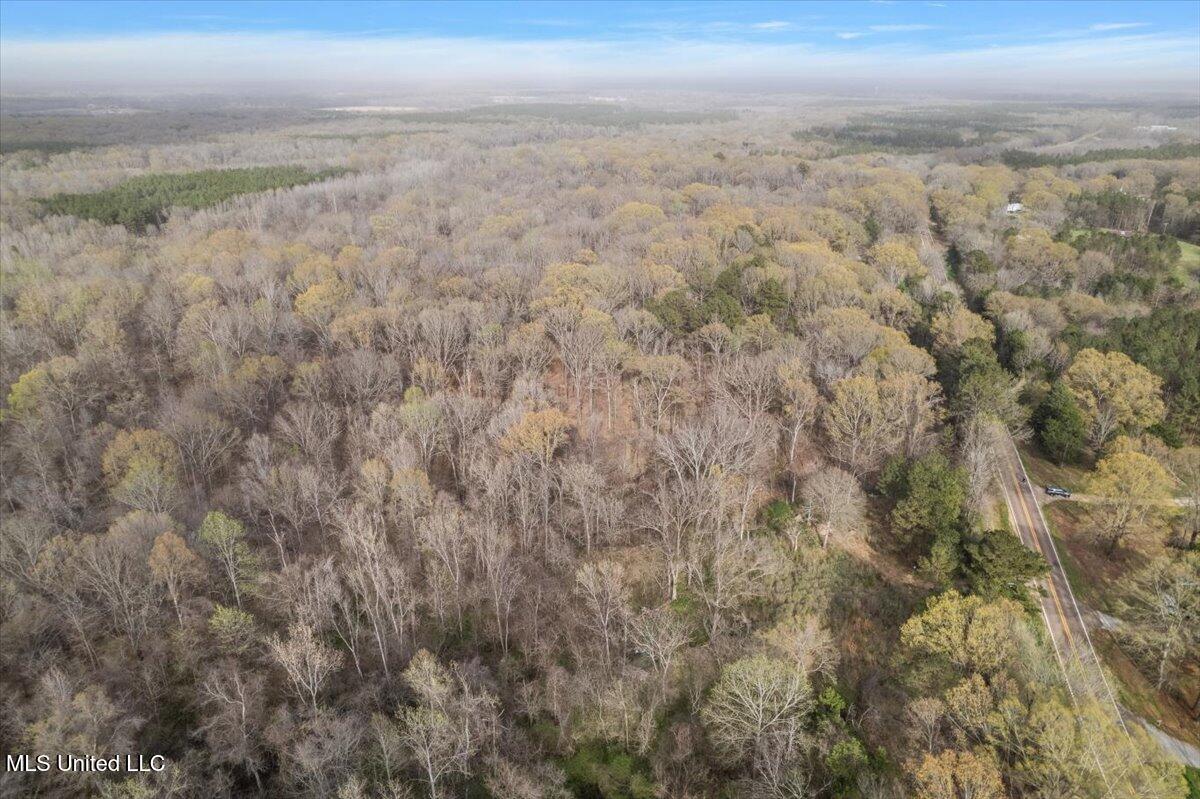 Ms-433 Bentonia, MS 39040 - Photo 11 of 11 03-DJI_0611