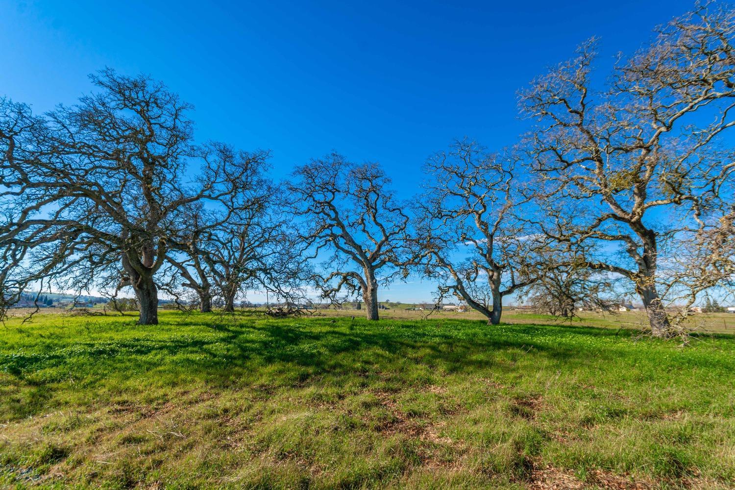 1610 Duck Creek Road Ione, CA 95640 - Photo 4 of 18 a view of grassy field with benches
