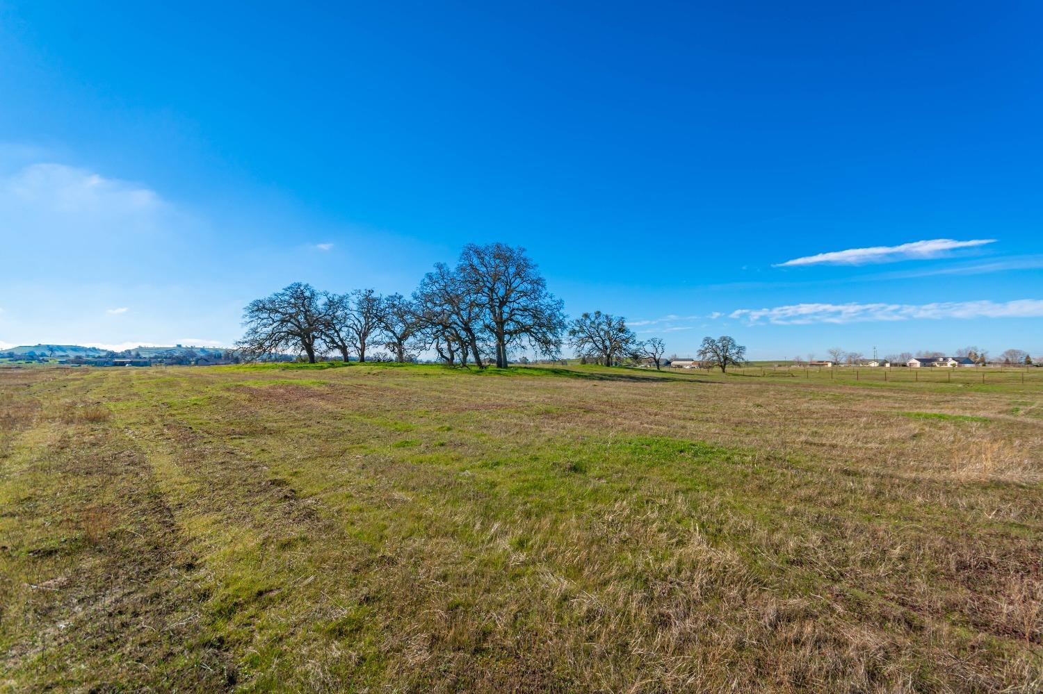 1610 Duck Creek Road Ione, CA 95640 - Photo 6 of 18 a view of an ocean from a beach