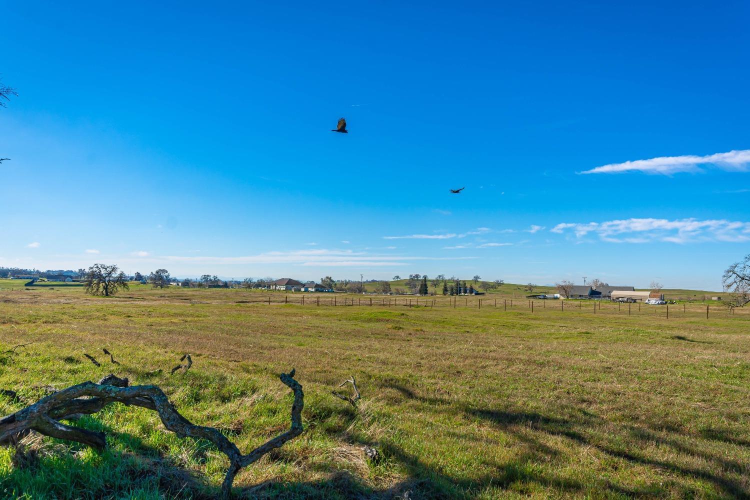 1610 Duck Creek Road Ione, CA 95640 - Photo 8 of 18 a view of an ocean