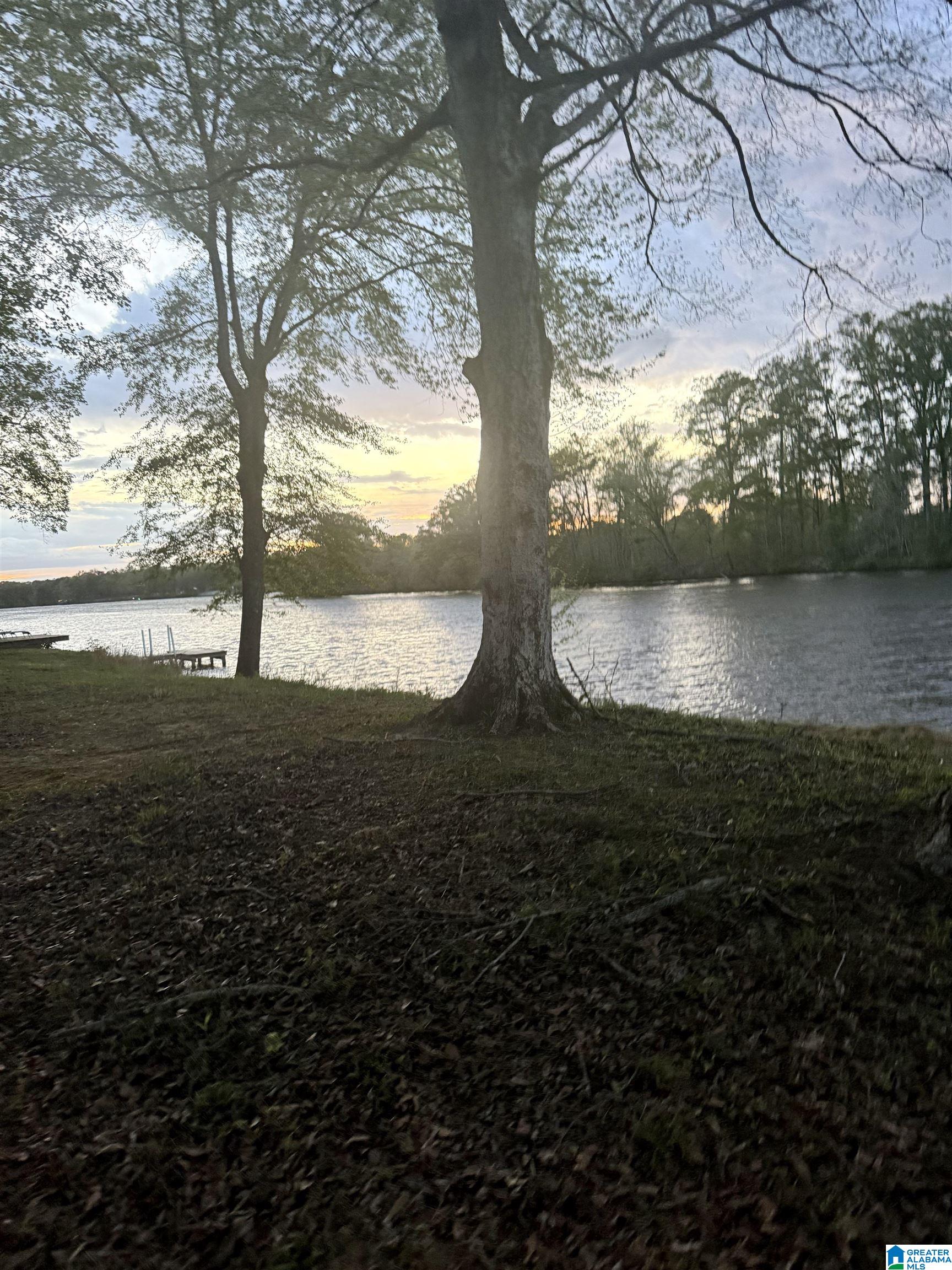 960 River Run Road Childersburg, AL 35044 - Photo 63 of 71 Gallery Image 63