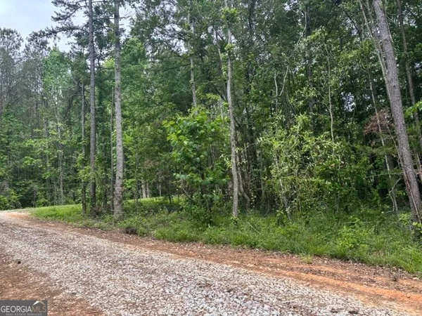 $34,900 | Tract 2-343 County Road 892, Wedowee, AL 36278