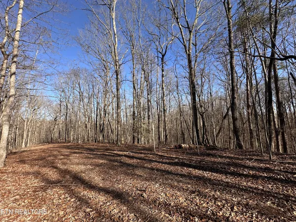 a view of a backyard of the house