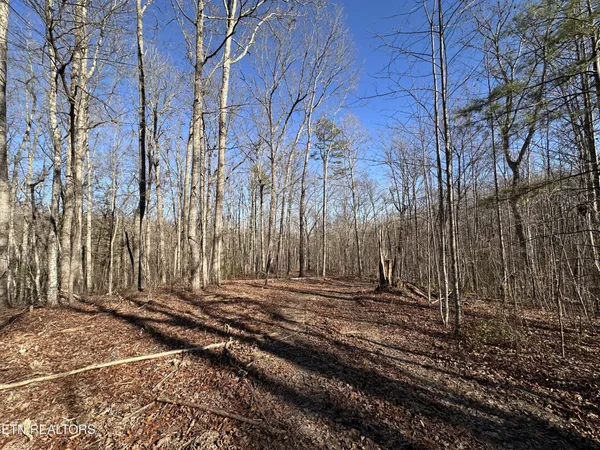 a view of a backyard of the house