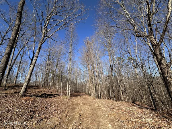 a view of wooden fence and trees