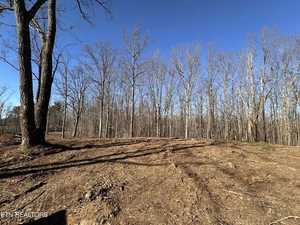 a view of a backyard of the house