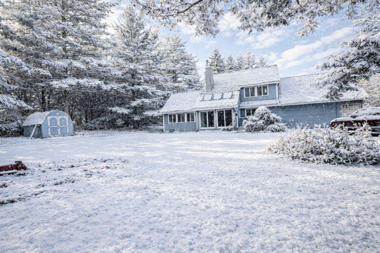 a view of a town with large trees