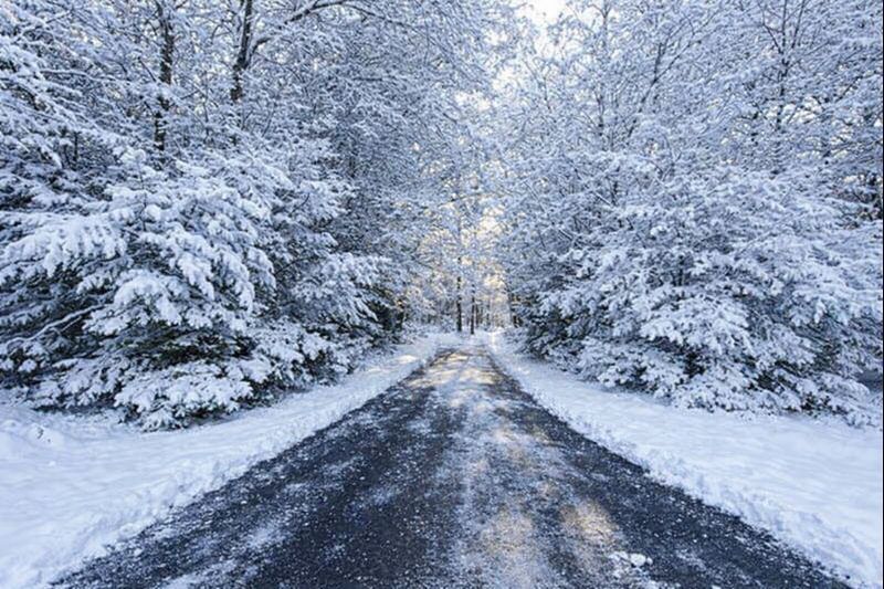10905 Breezy Lawn Road Spring Grove, IL 60081 - Photo 2 of 20 a view of a dry yard with a tree