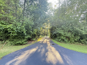 10905 Breezy Lawn Road Spring Grove, IL 60081 - Photo 3 of 20 a view of a yard with an outdoor space